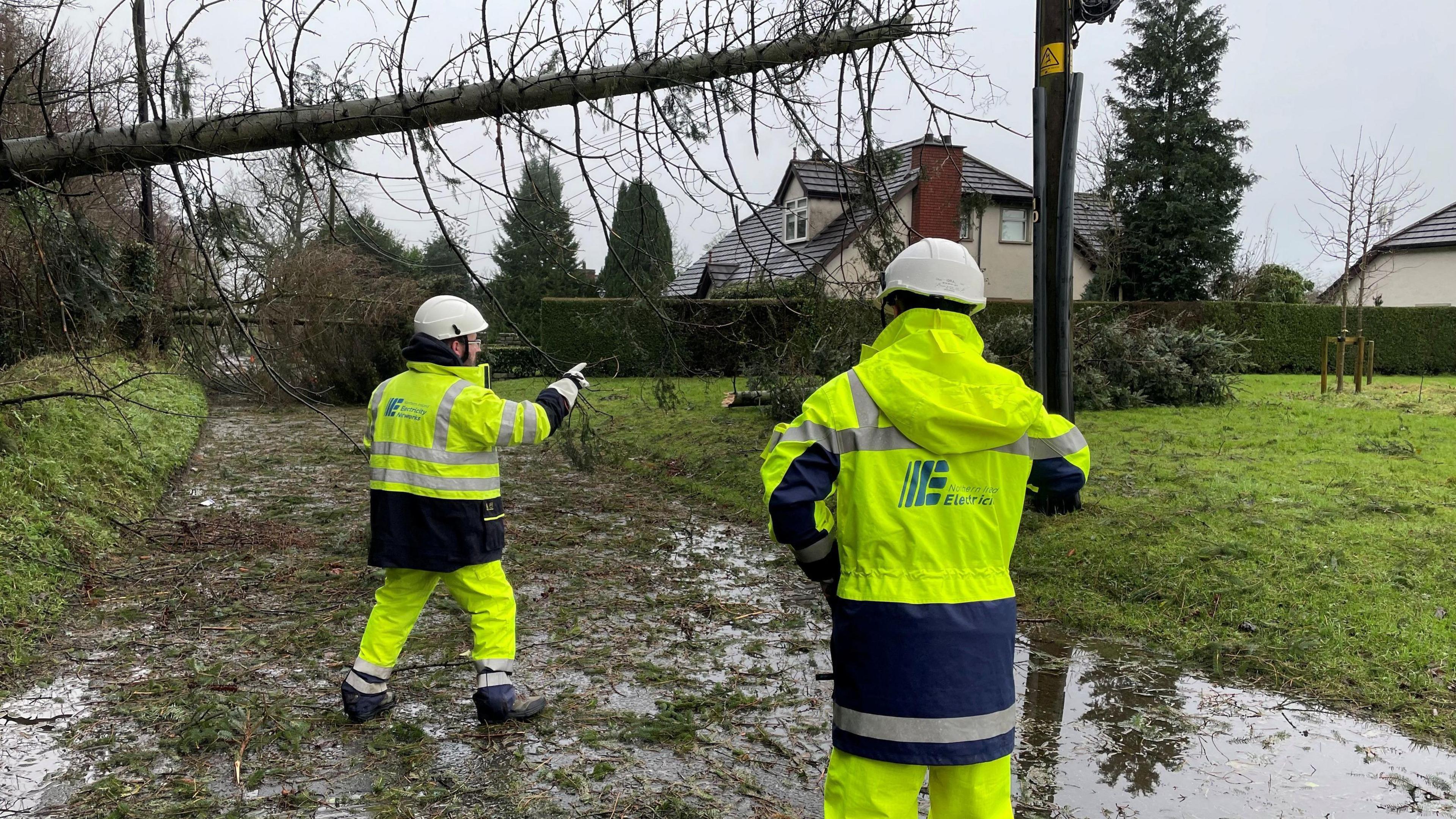 Two NIE workers in high vis examine damage caused by a fallen tree