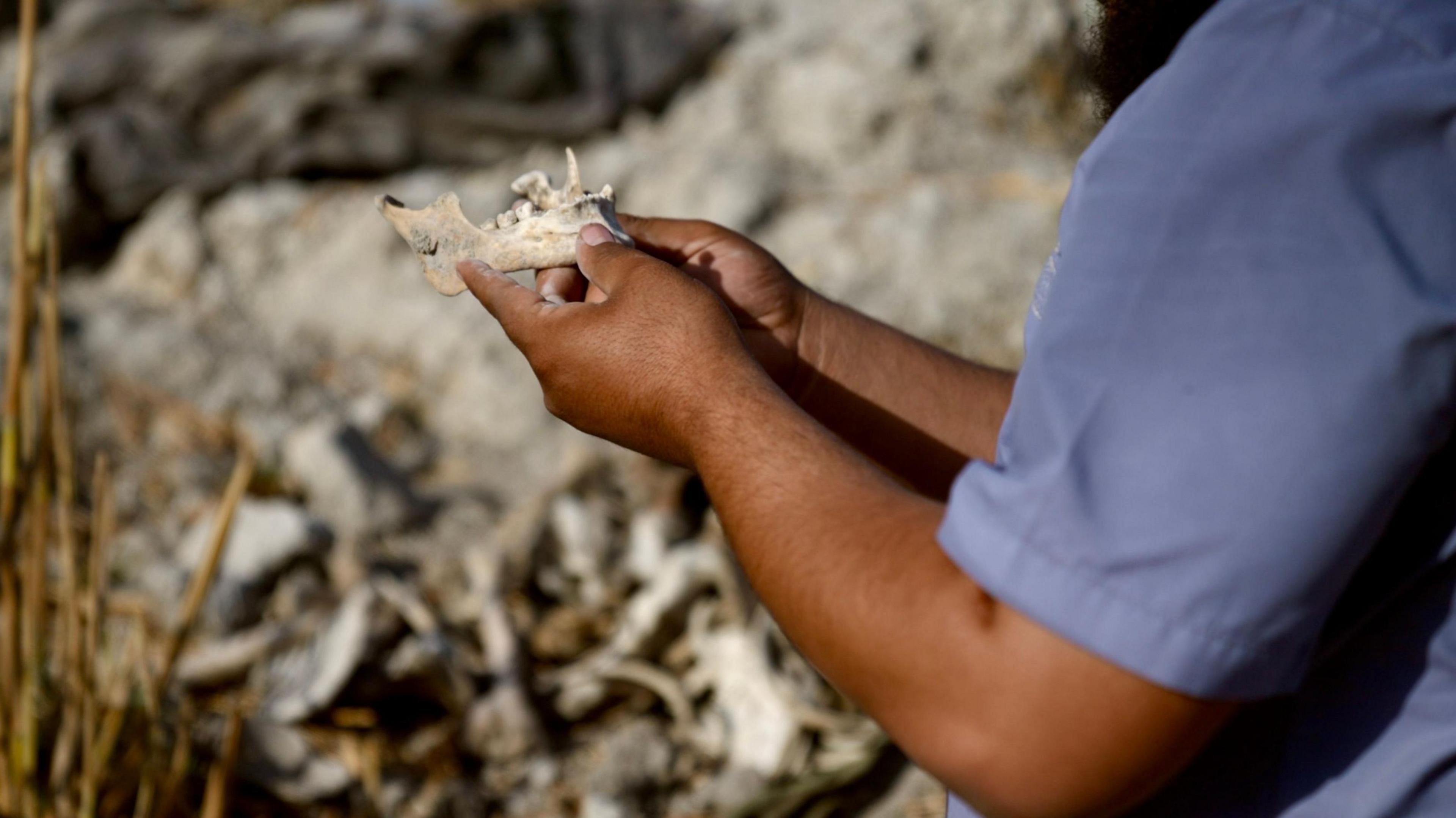 A man's arms are seen holding a jawbone