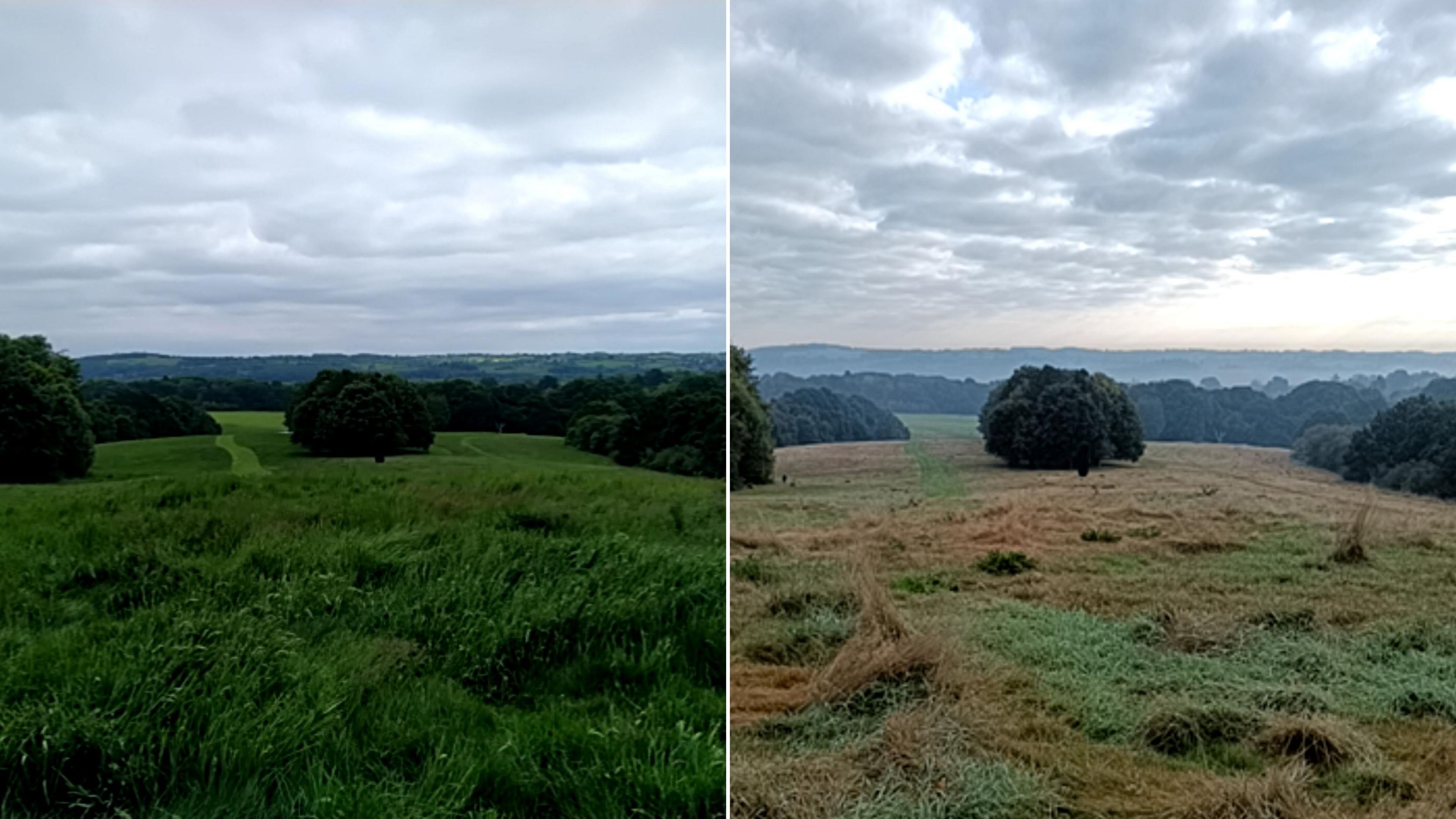 Two photographs side-by-side taken from the same spot in Allestree Park. The one on the left was taken in May and shows bright green grass and a path through the landscape at the back. The photo on the right was snapped in October and the grass is brown and light green, it's difficult to see the path through the park, and the air is slightly misty 