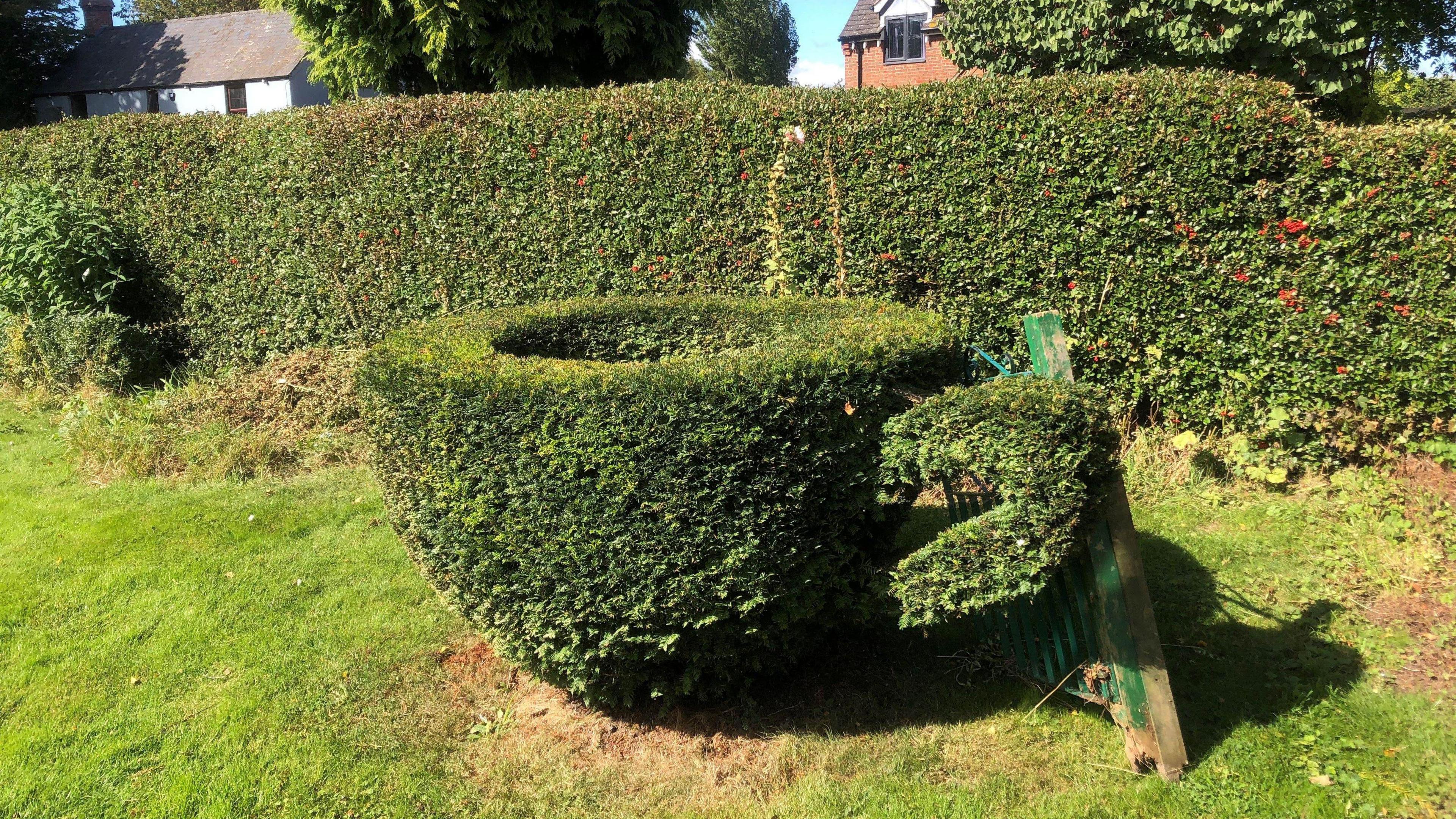 A large green topiary teacup sits in a garden, positioned in front of another hedge.