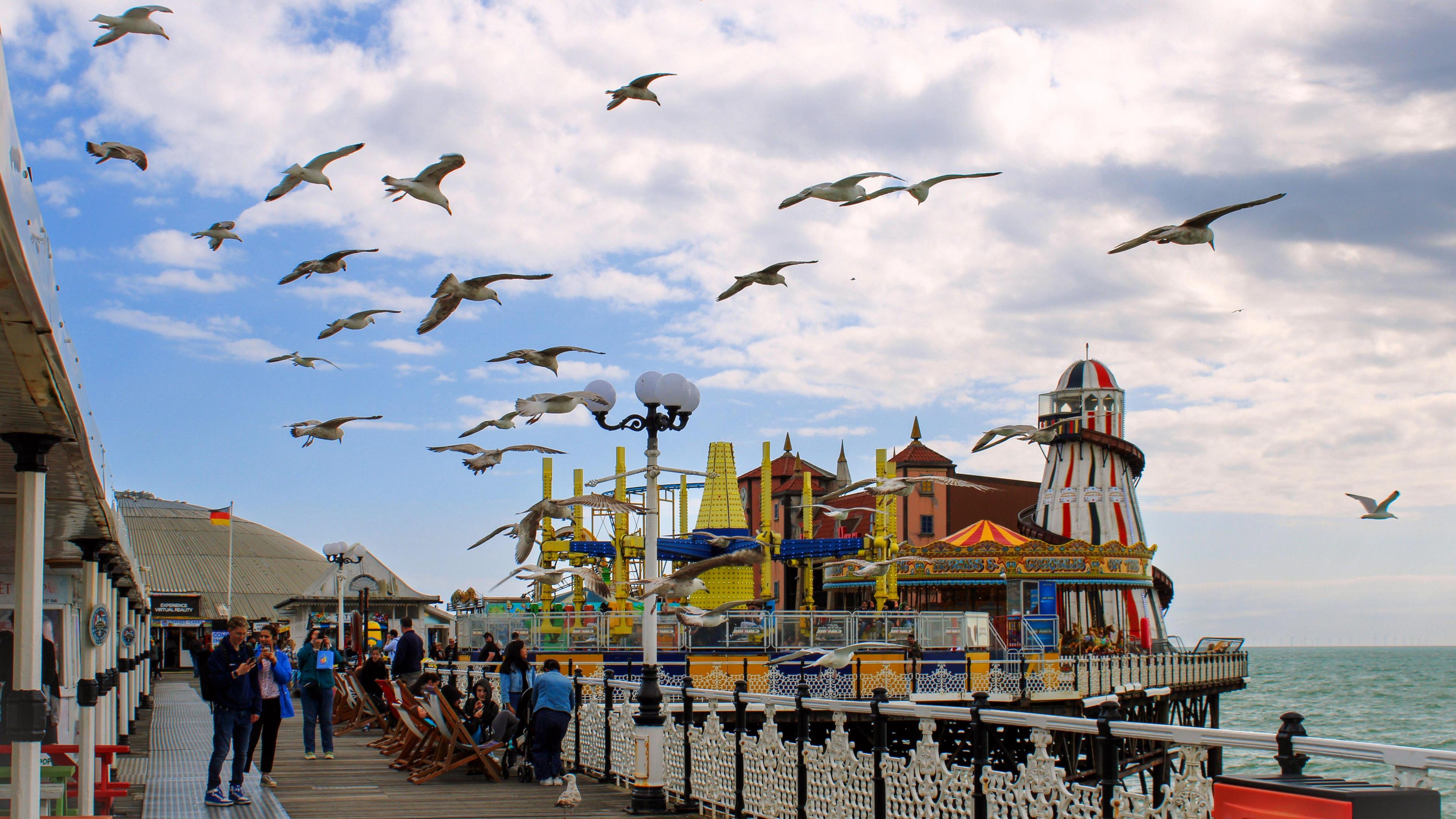 Seagulls flying over a pier 