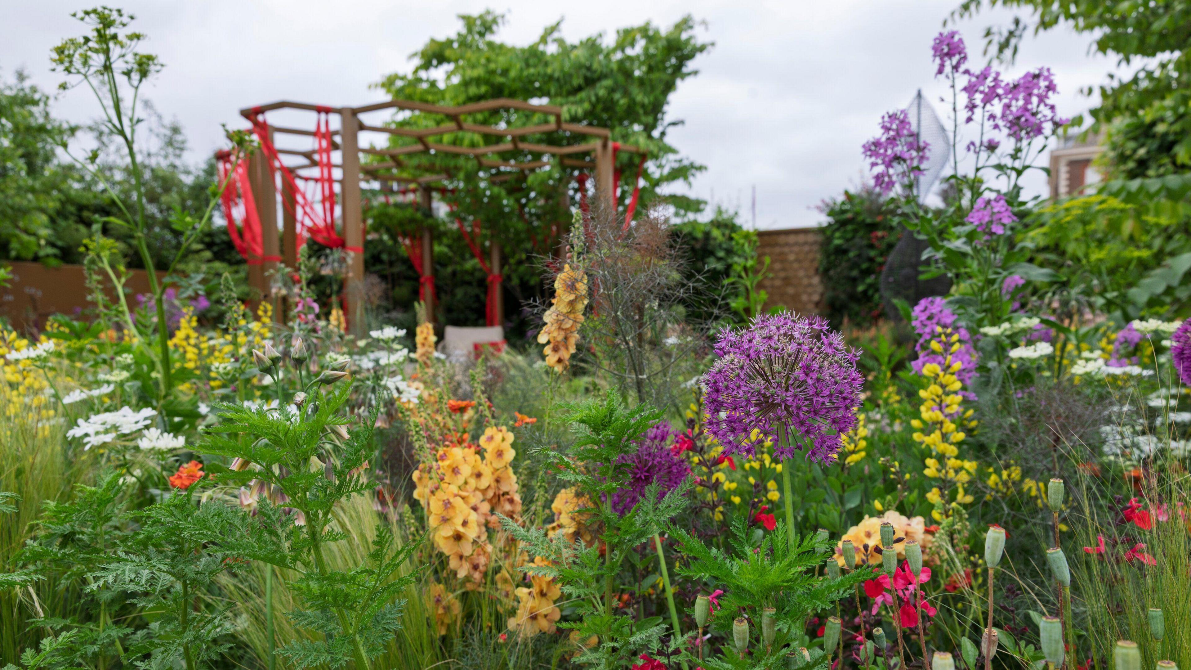 A vast number of plants sit in the foreground showing beautiful colours with the shelter