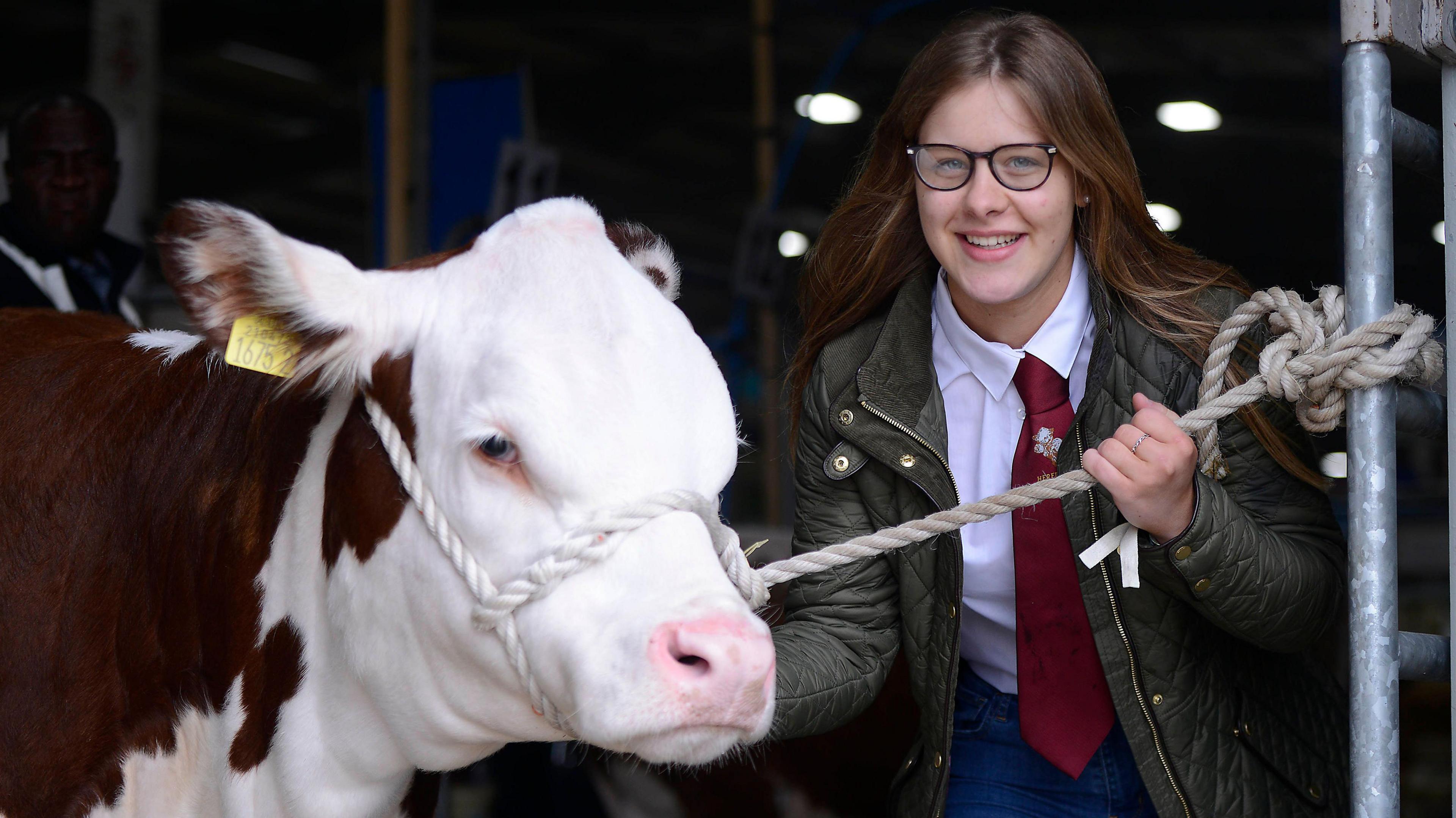 Sophie Farr and cow