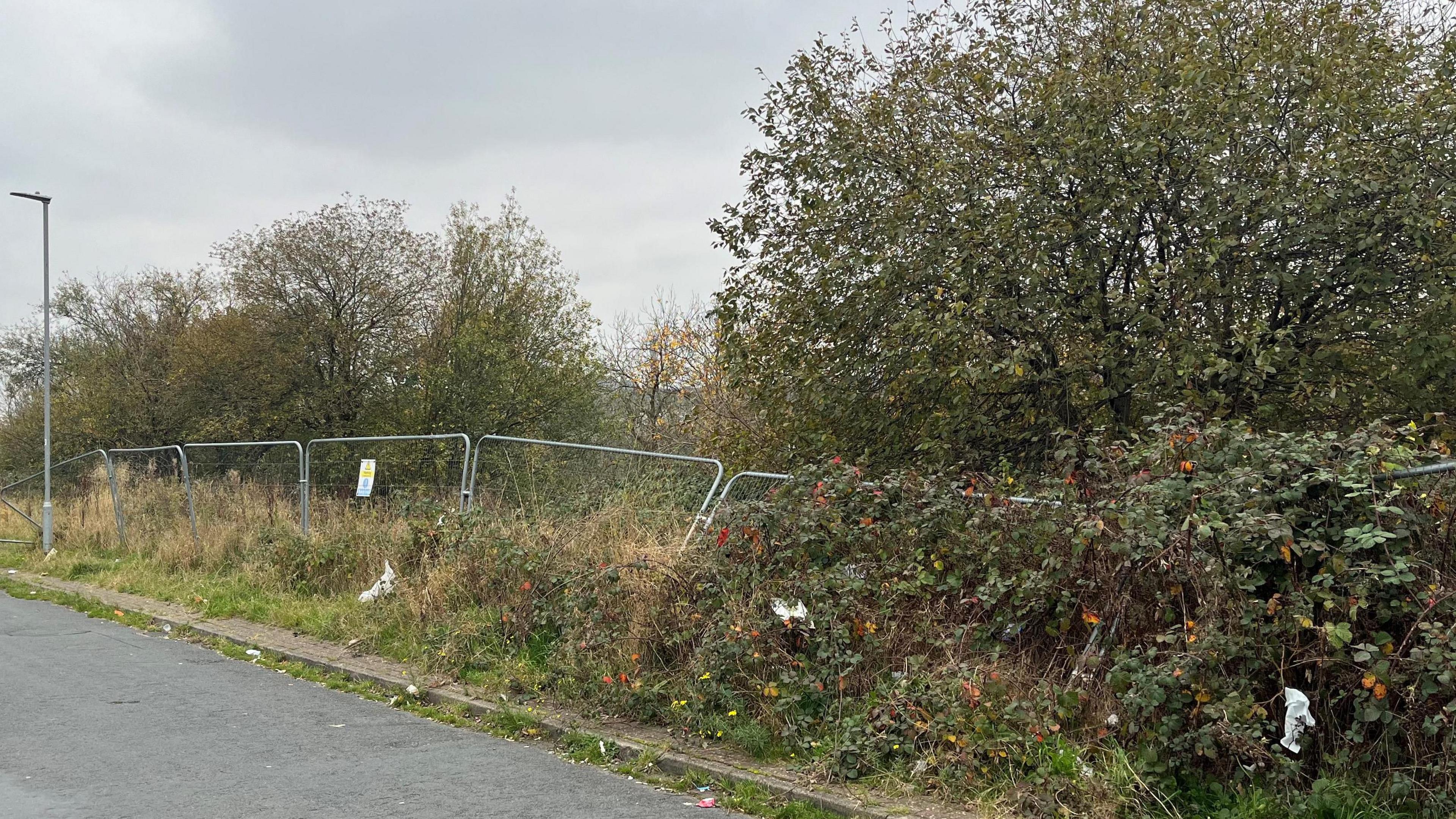 Metal railings line the edge of an overgrown patch of land. Some of the railings are falling over as they are covered in plants. A tarmac road can be seen in front of the railings.