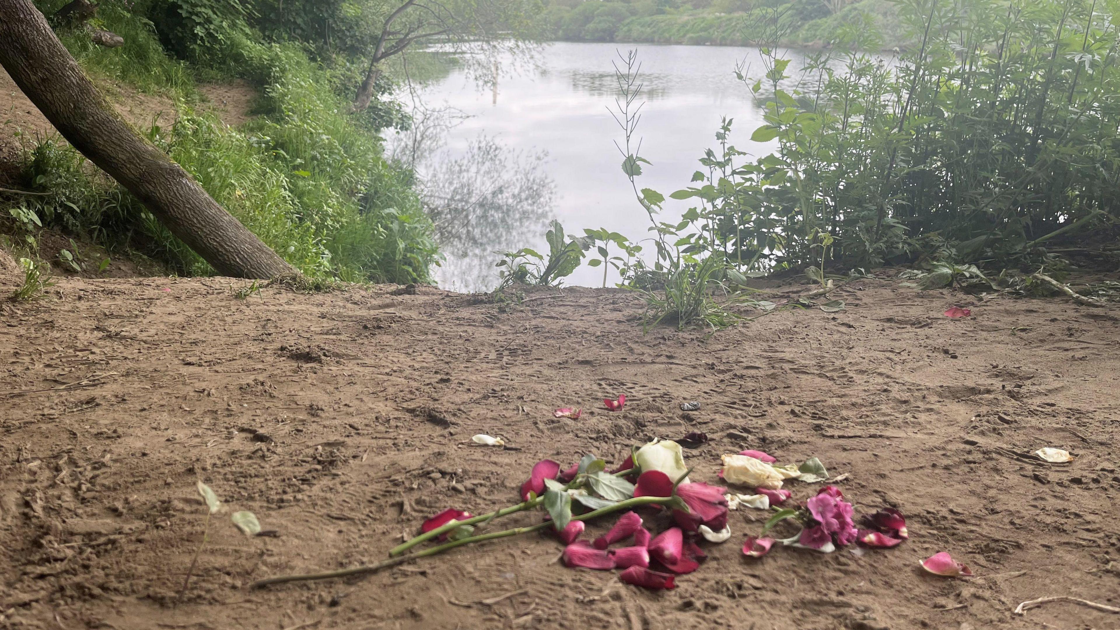 Flowers are at the scene of the riverbank where the boys got into difficulty. The petals are cream and purple.