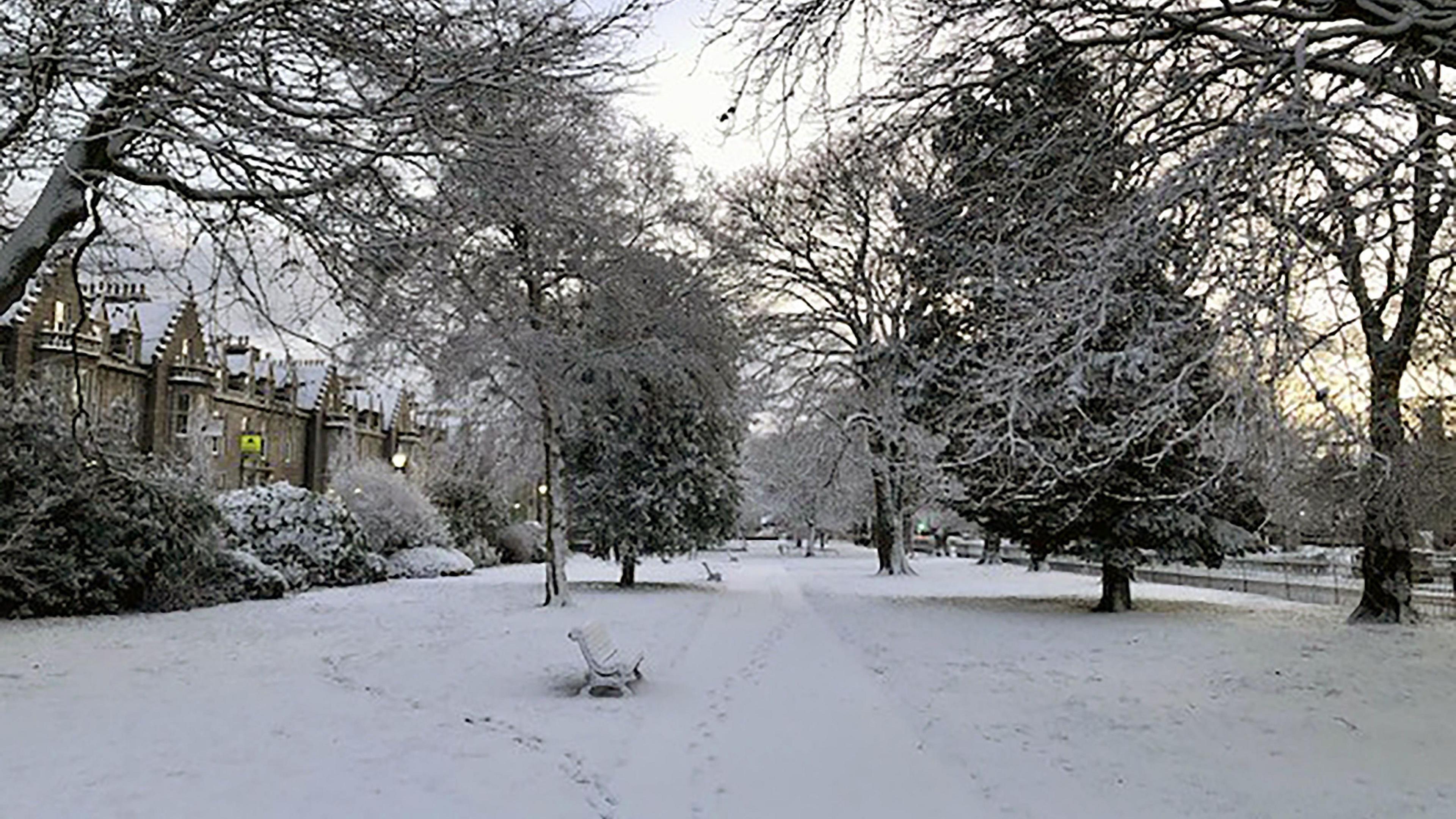 snowy street.