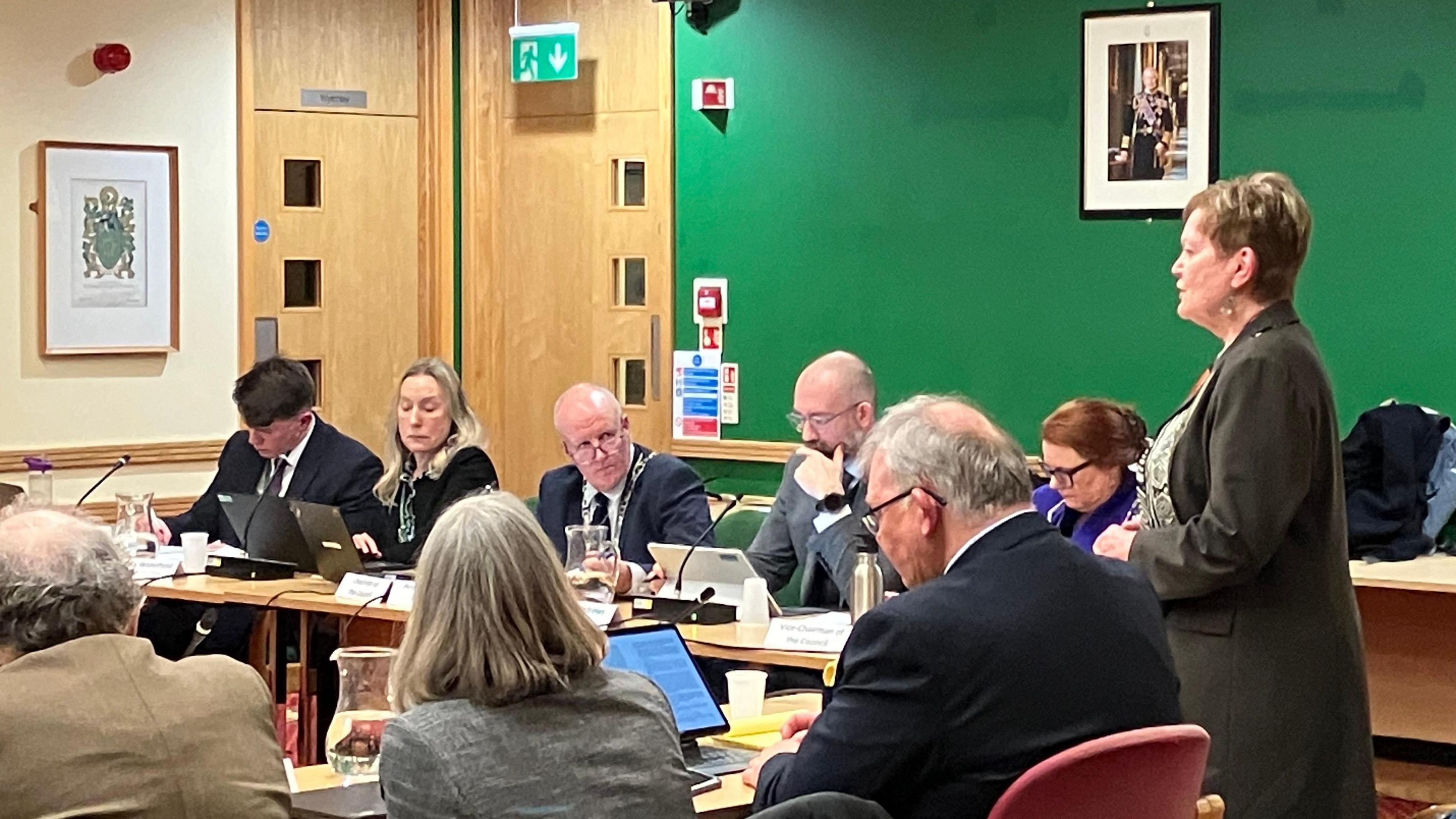 An image of Rutland County Council leader Gale Waller speaking at a full council meeting