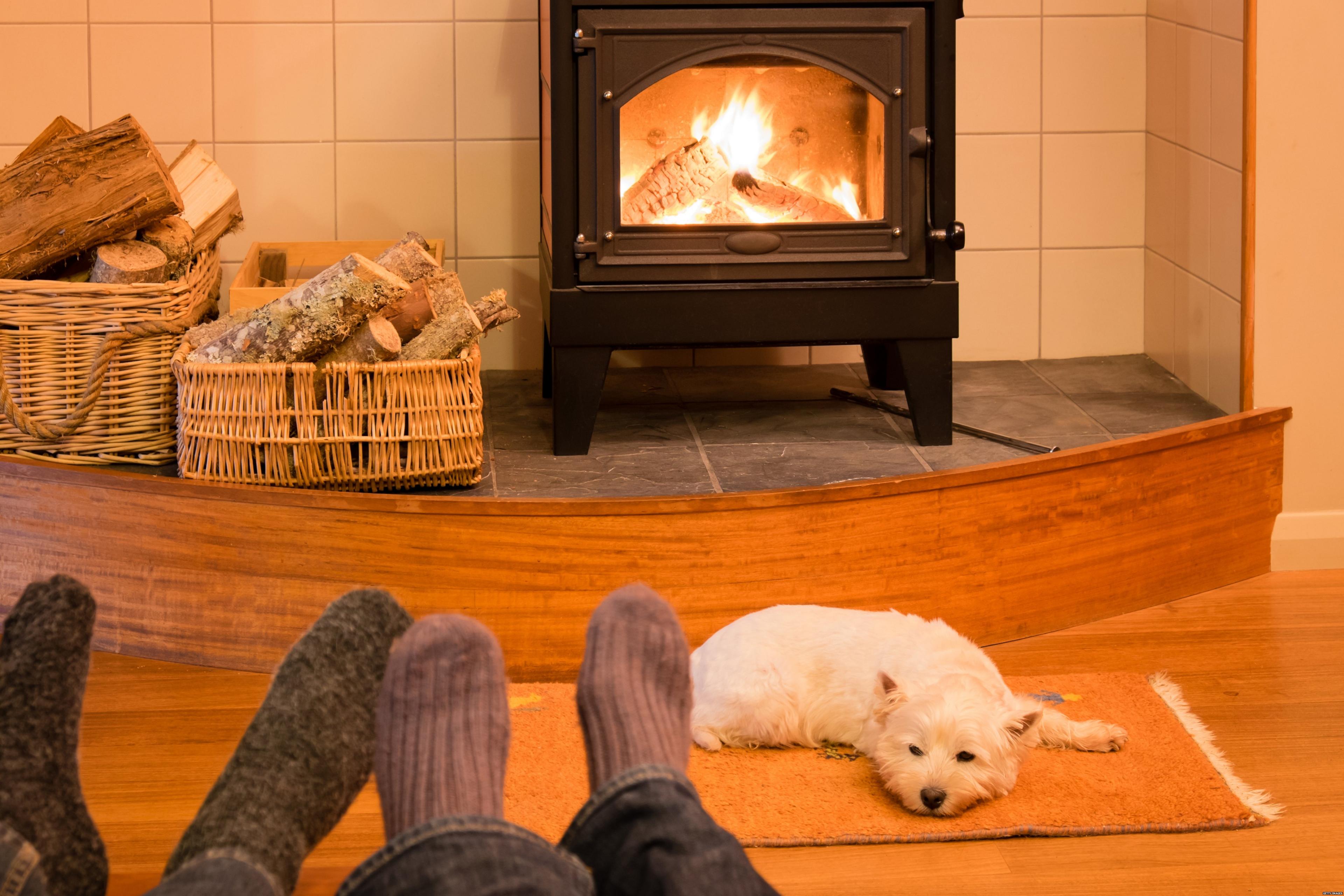 Wood burner with dog in front