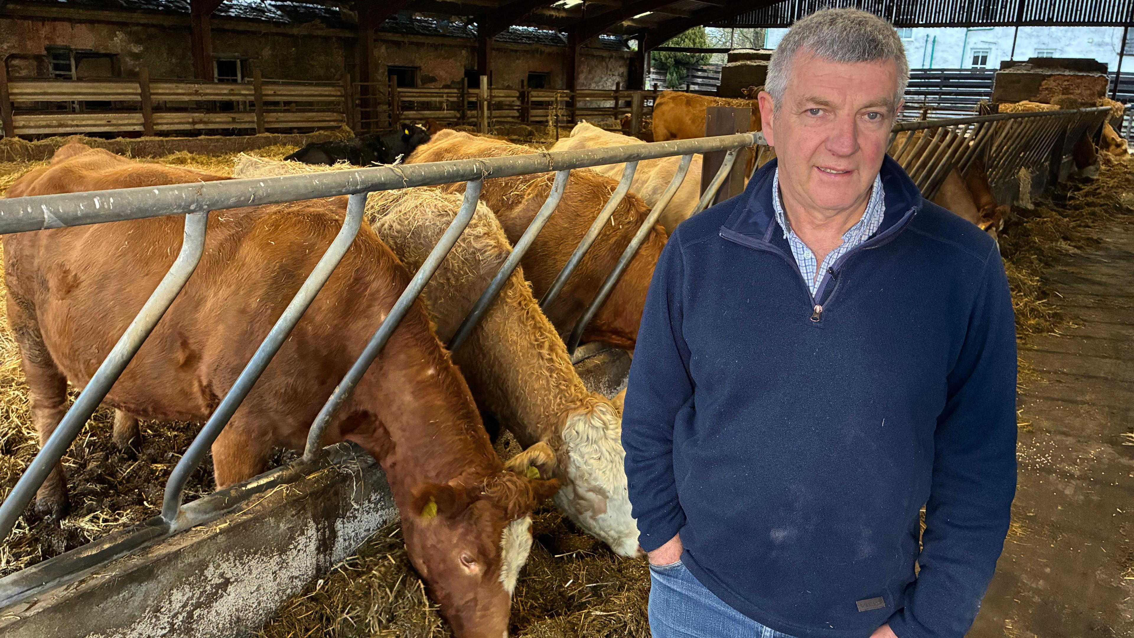 A man stands in a large shed in front of penned cattle, which are grazing on hay. The man has short grey hair and is wearing blue jeans and a dark blue fleece - he stands with his hands in his pockets looking into the camera.