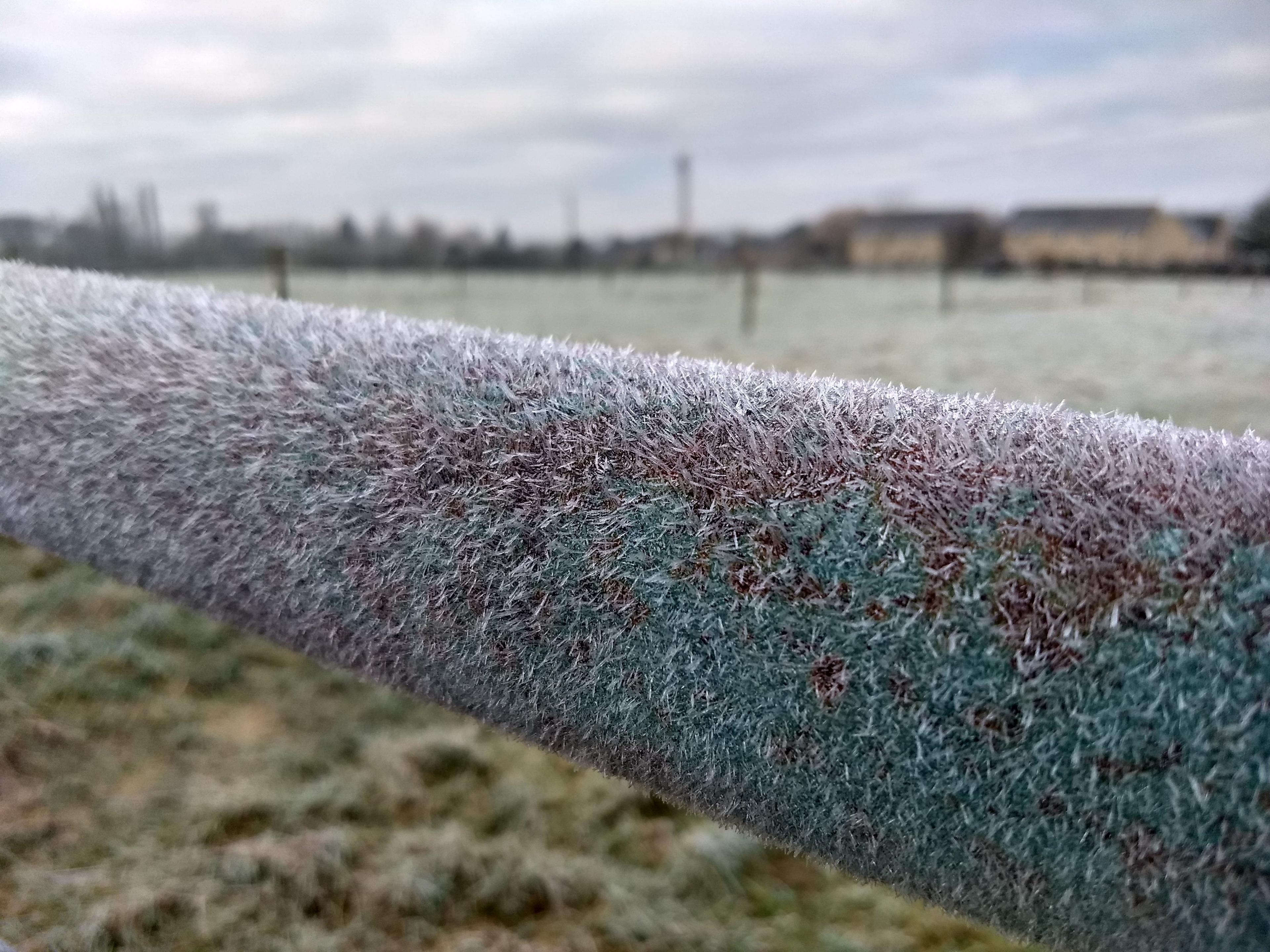 Graham Ranson spotted this frozen gate in Ascott-Under-Wychwood