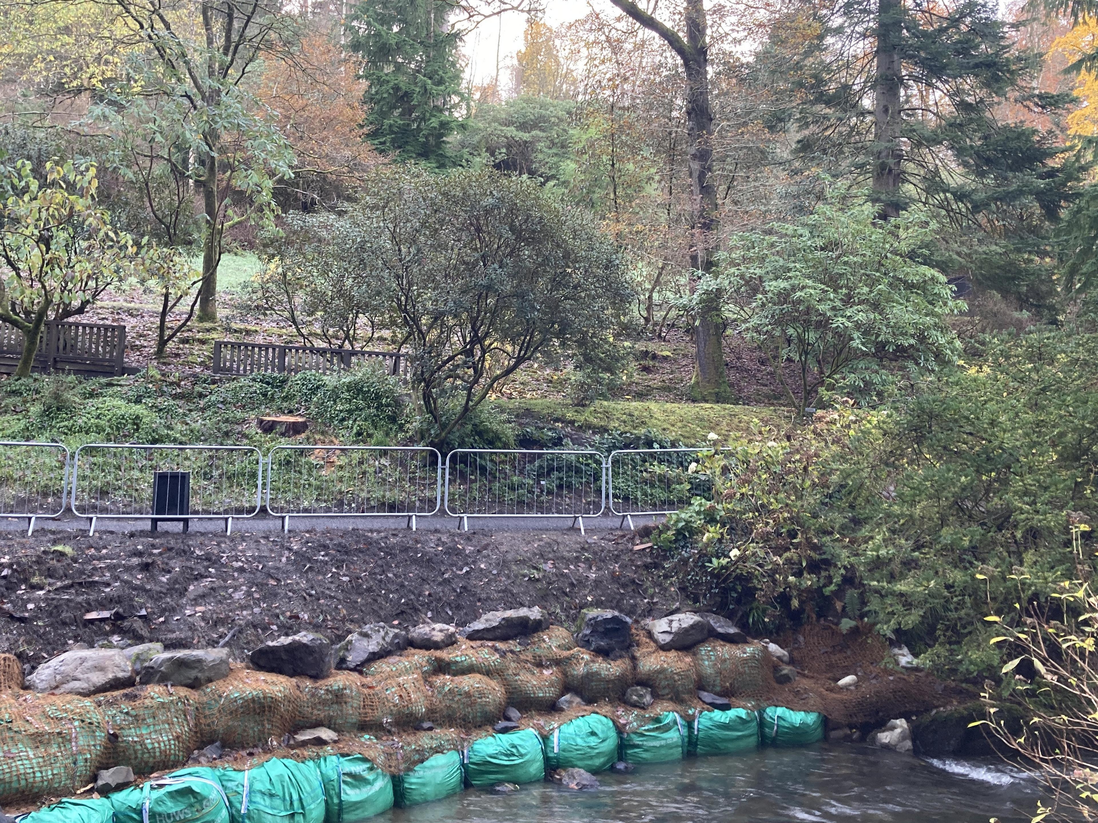 River bank in Bodnant Gardens