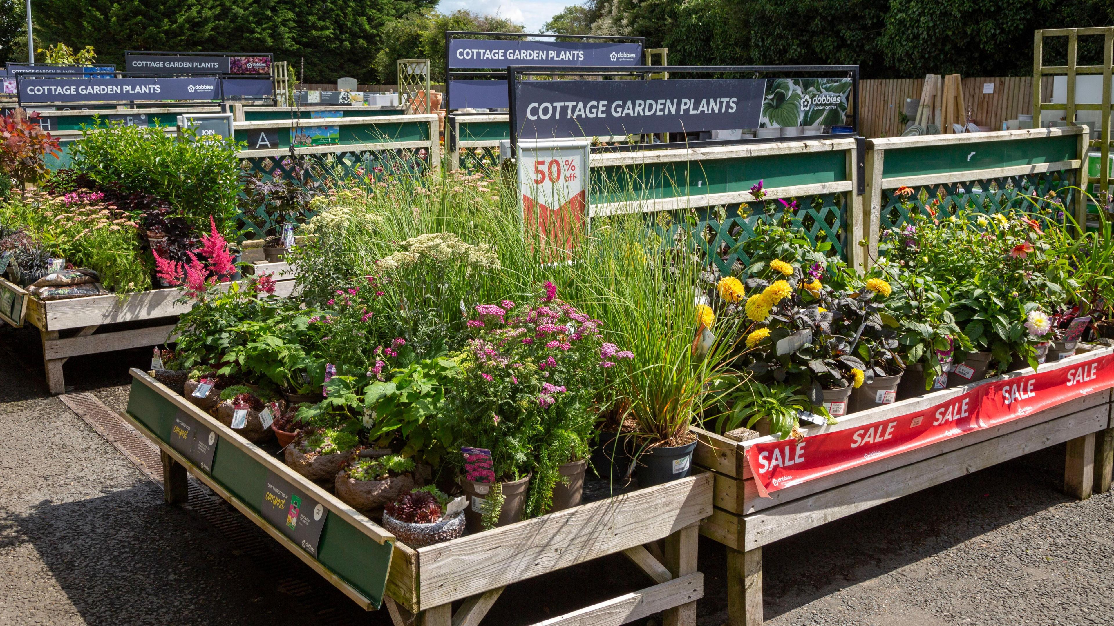 Plants outside on sale at a garden centre 