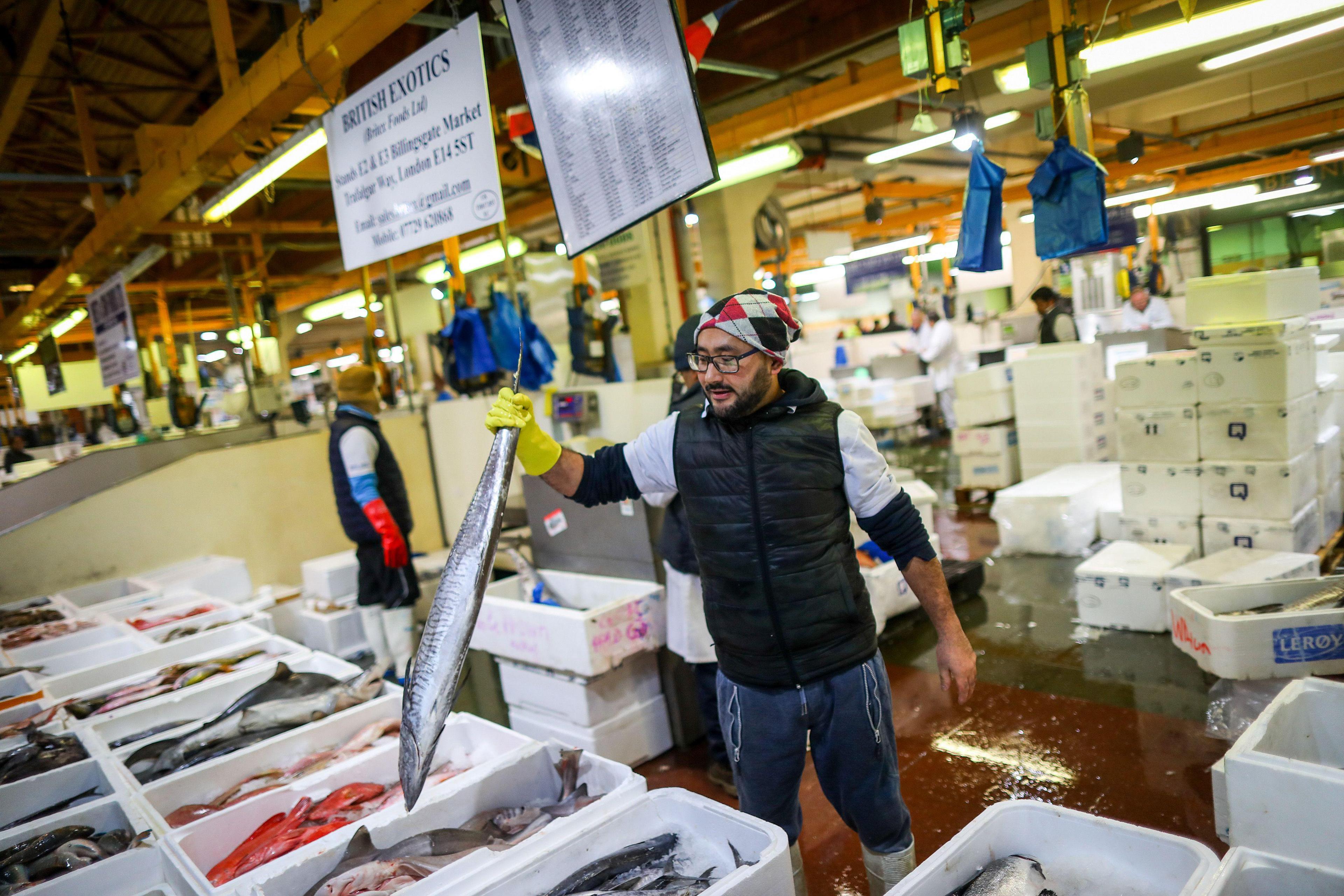 Fish trader holding a large fish by the tail above a collection of white boxes which contain numerous different kinds of fish 