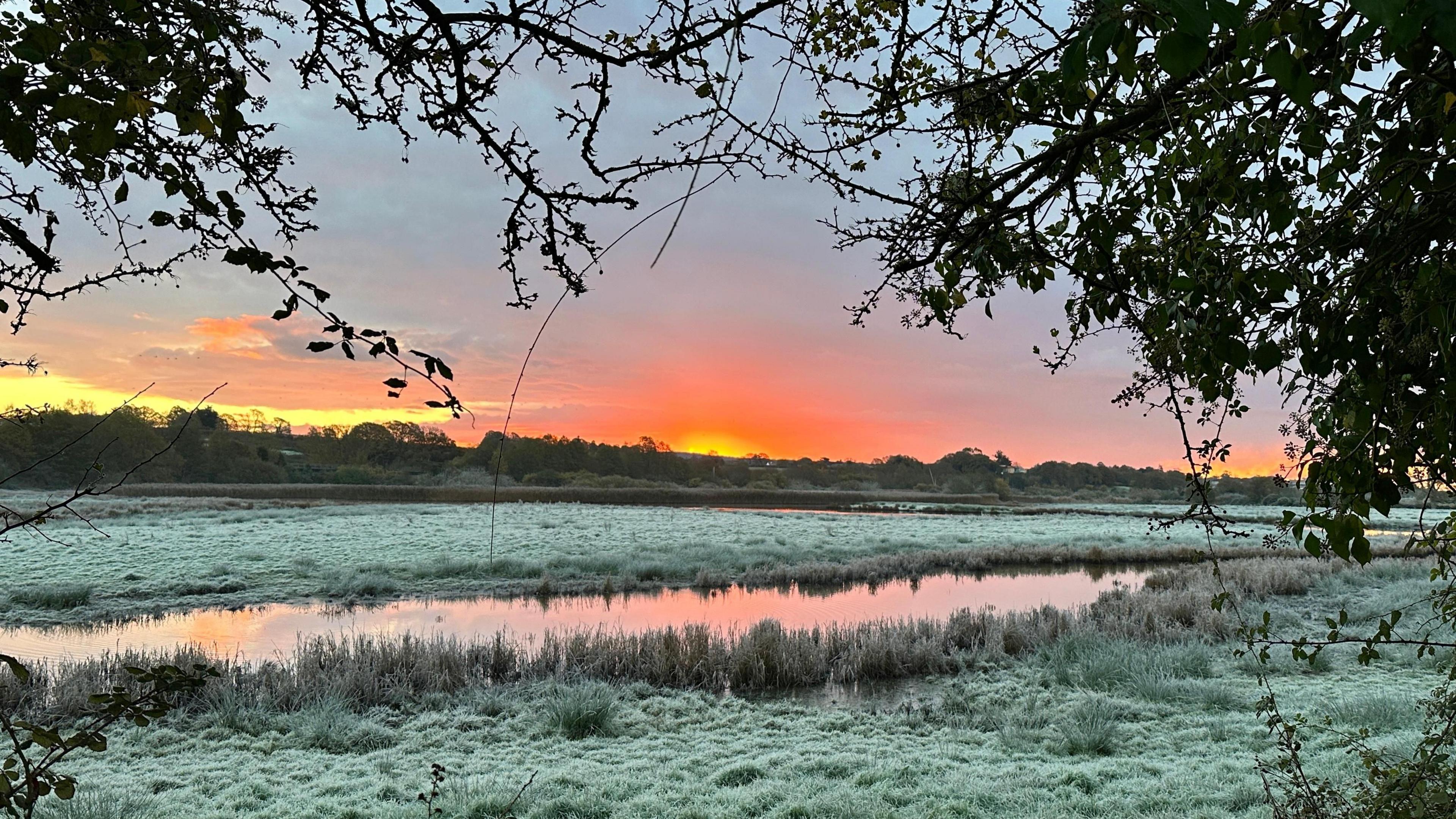 A sun can be seen rising over a scene of frost-tipped fields with a body of water in the foreground and foliage framing the scene 