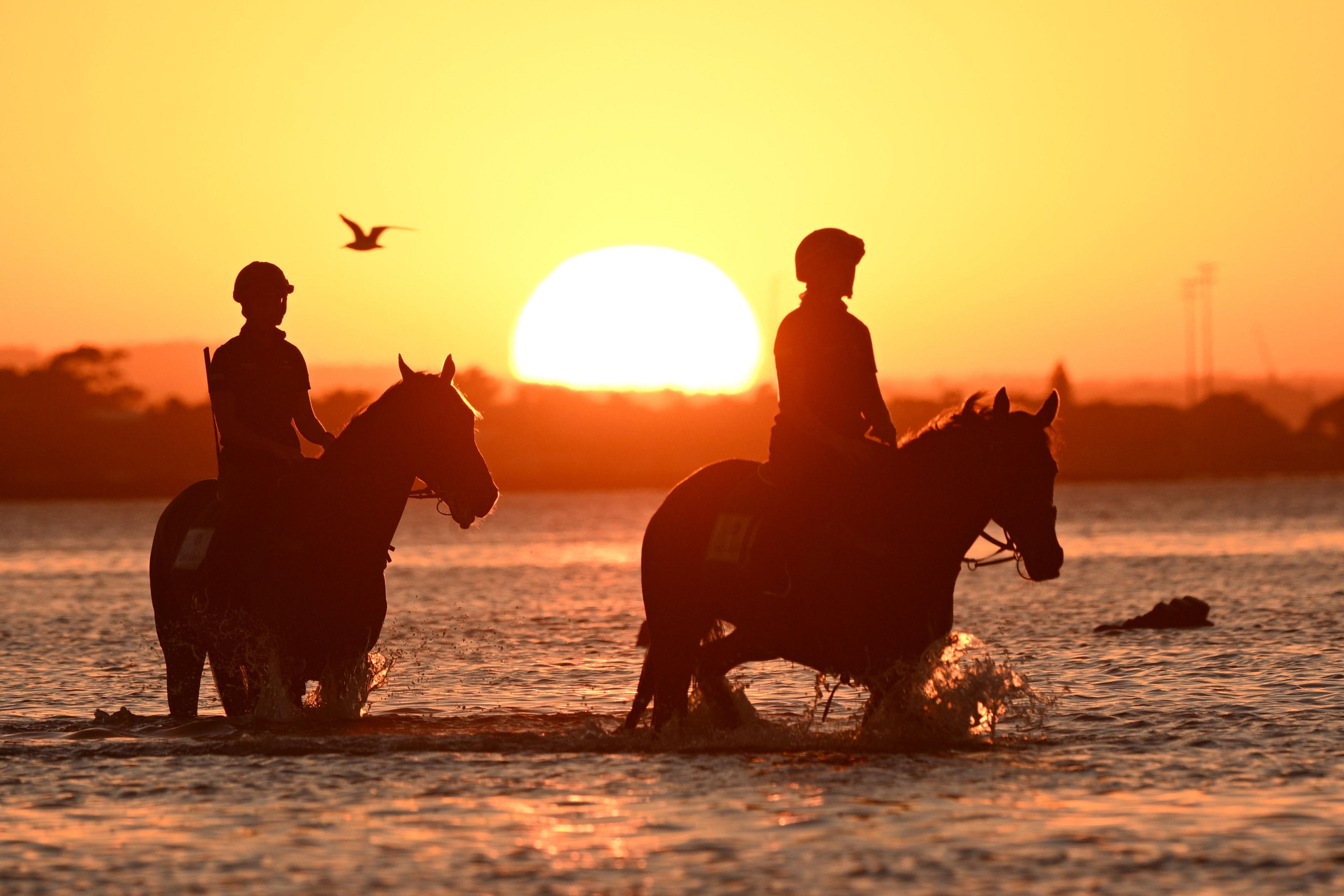 Jessica Hamersley riding Tom Kitten  and Camille Piantoni riding Zardozi from Godolphin Racing are seen during a beach session at Altona Beach in Altona North, Australia