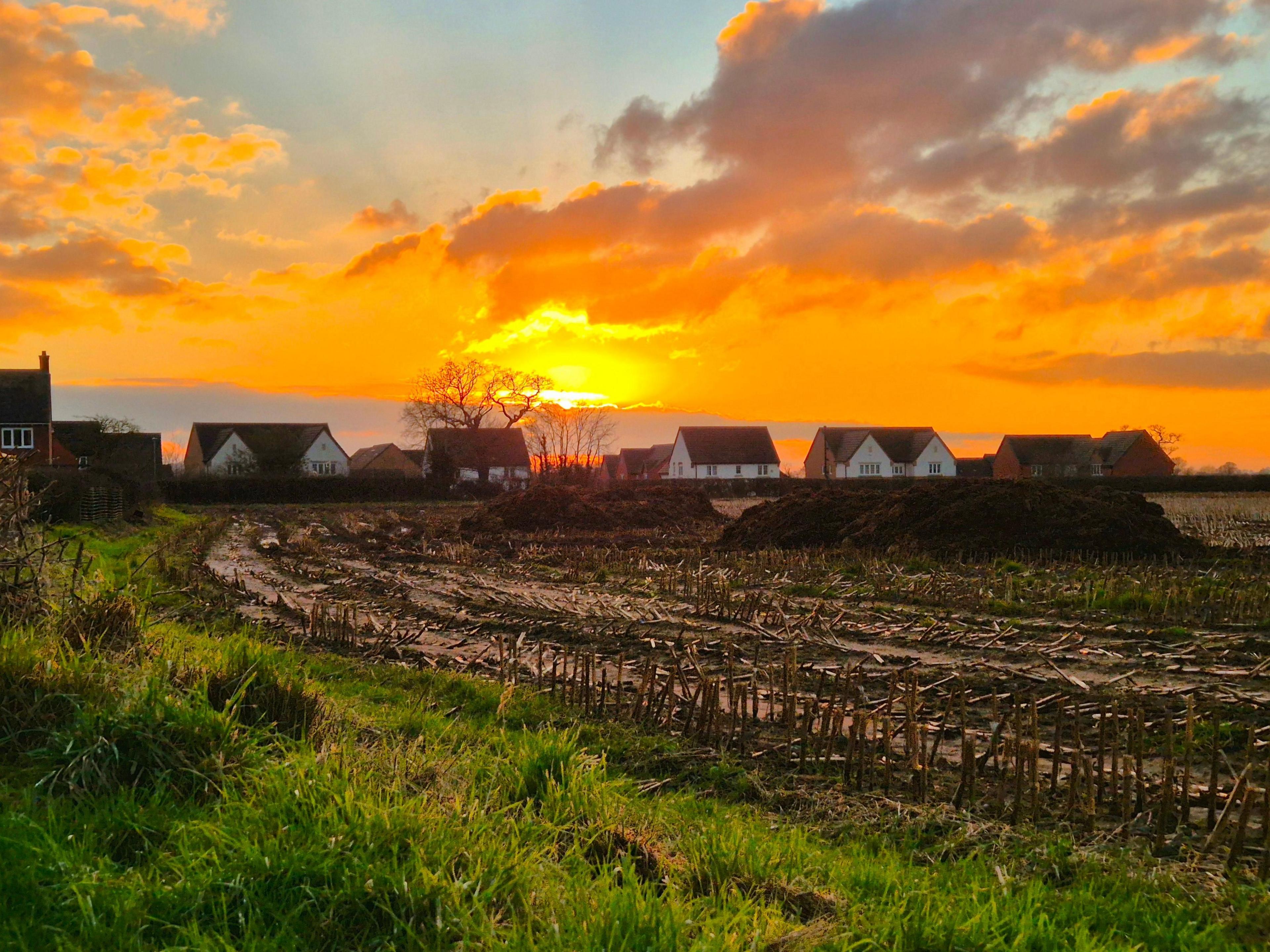 In the foreground, a field of maize stubble poking up through a muddy field. A row of modern houses are visible in the background and the scene is topped by a low, rich-orange sun shining out among grey clouds.