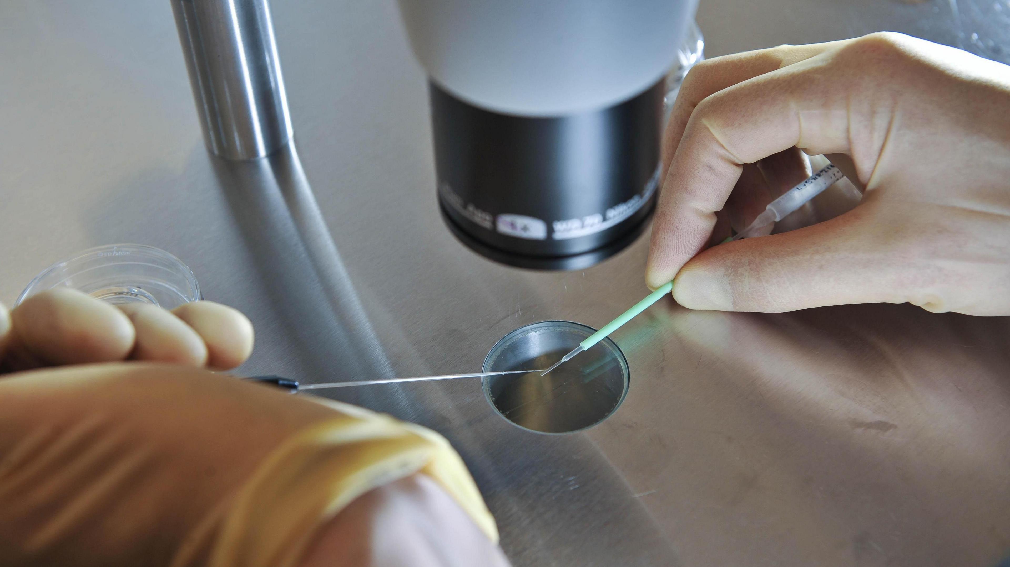 A close-up image of a laboratory setting where two gloved hands are manipulating a thin wire or fiber under a microscope. One hand is holding the wire with tweezers, while the other hand is using a green tool to position it. The microscope lens is visible above the work area, and there are some small laboratory tools and containers on the metallic surface