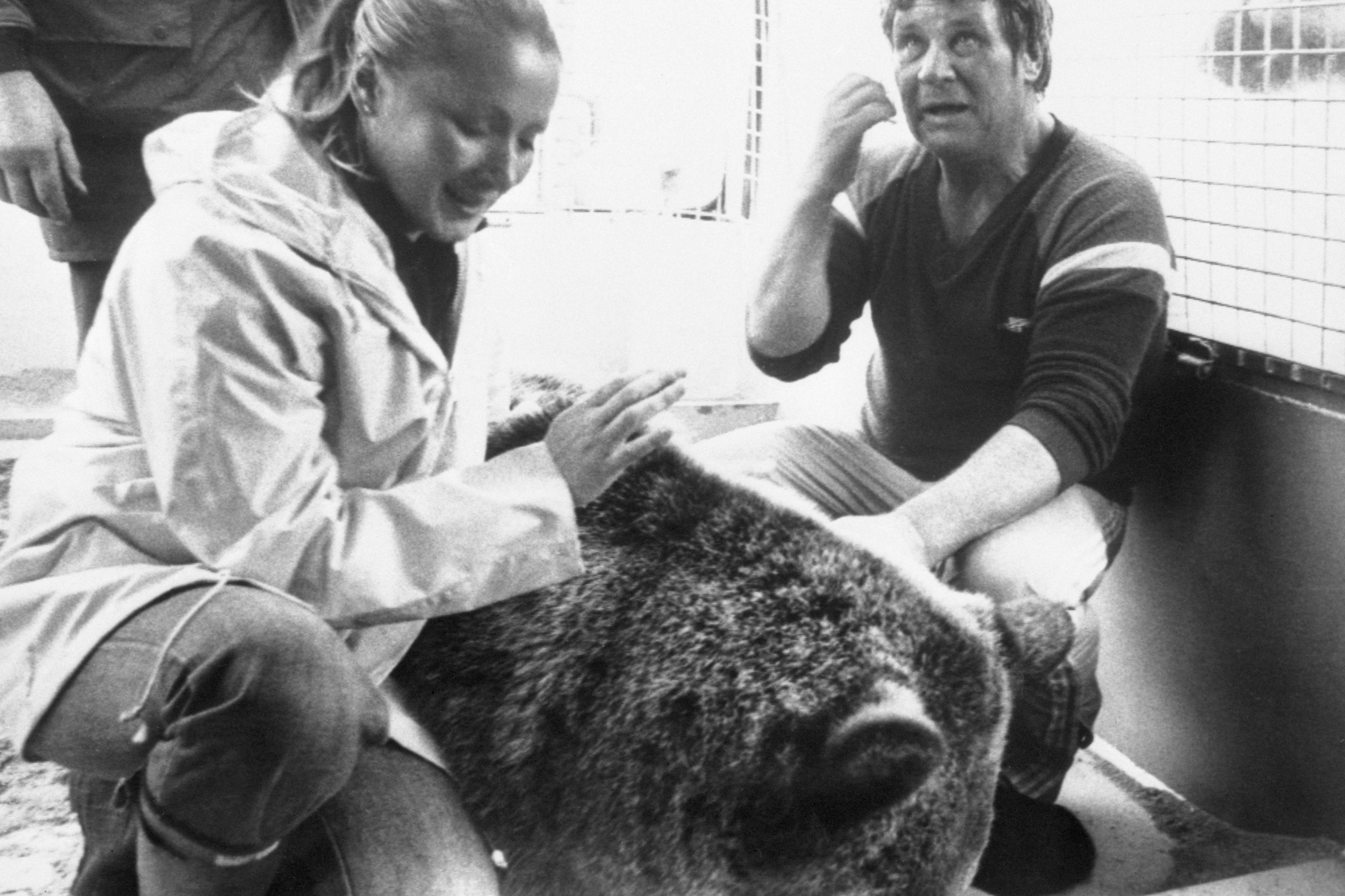 A black and white photo of a woman, man and a bear. The woman is kneeling and petting the bear, while the man sits nearby, facing the camera.