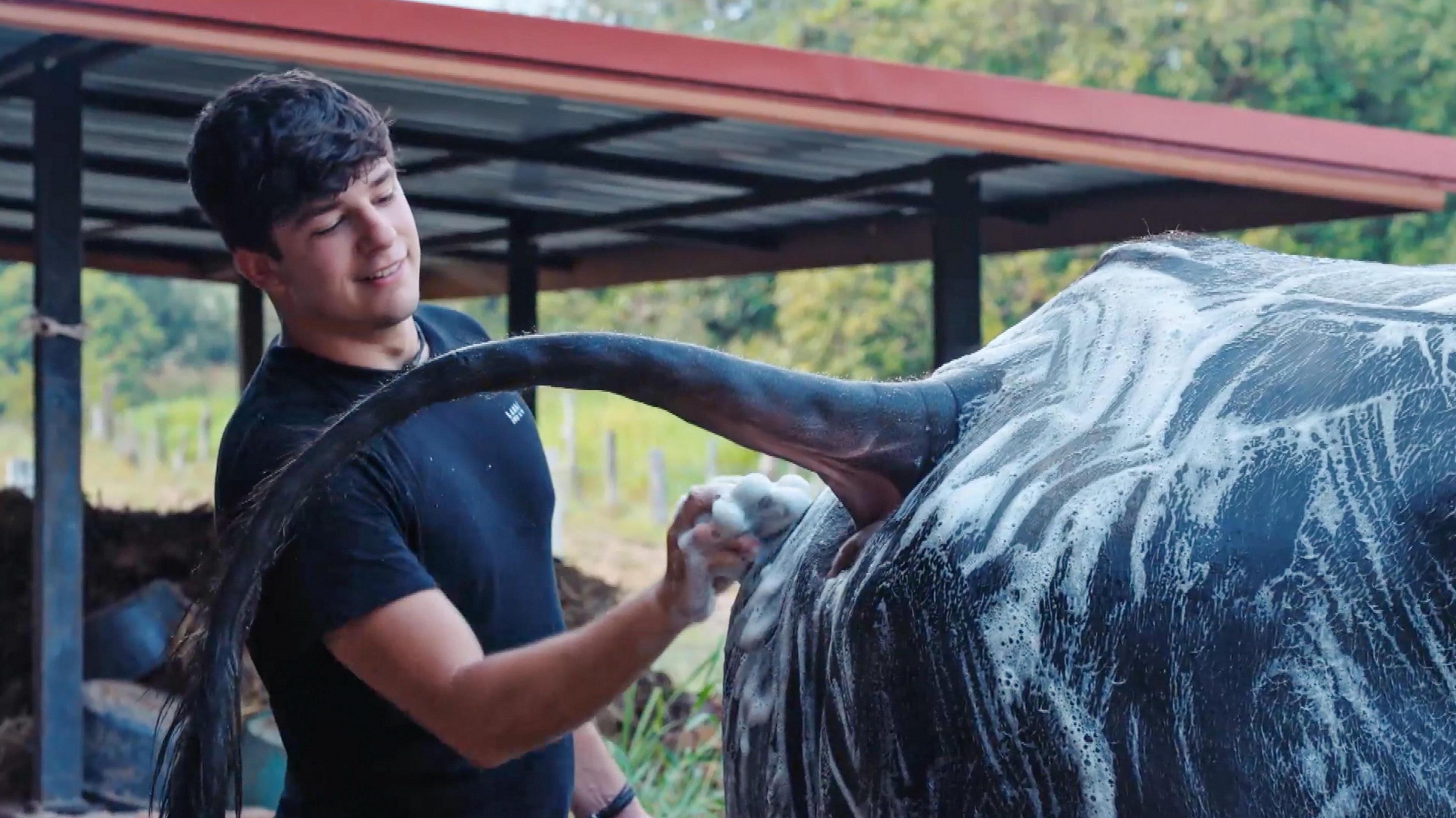 James cleaning an animal's rear end