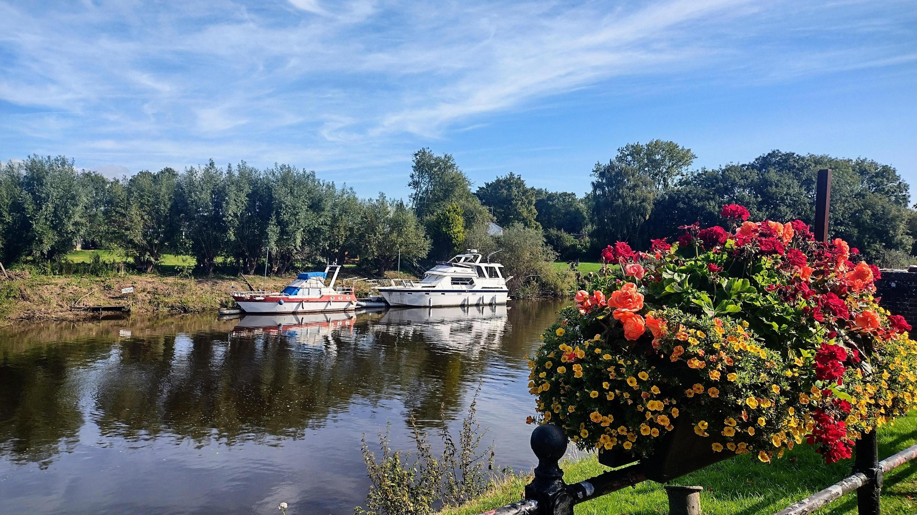 Two boats on a waterway with trees behind them in Upton upon Severn, Worcestershire, with flowers attached to a planter on a metal railing in the foreground