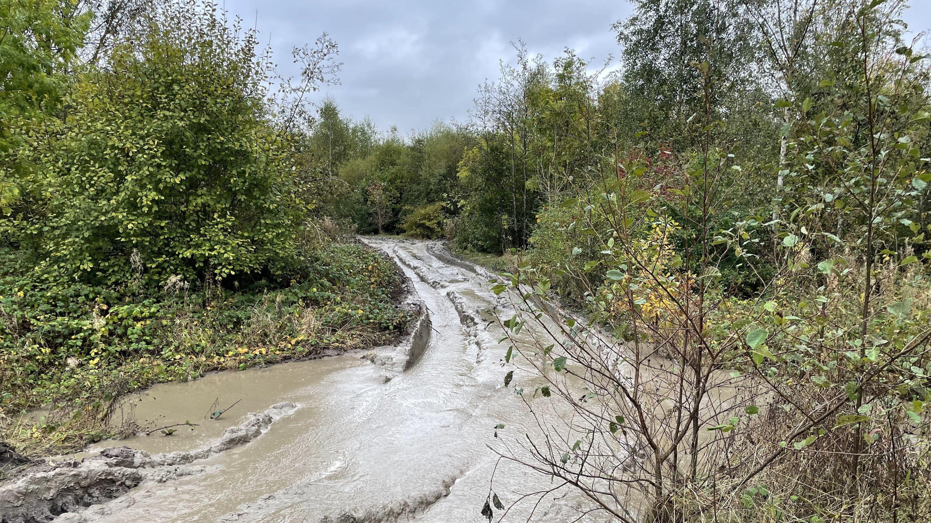 A path is completely submerged by thick mud. There are trees and bushes either side of it, and vehicle tracks in the mud