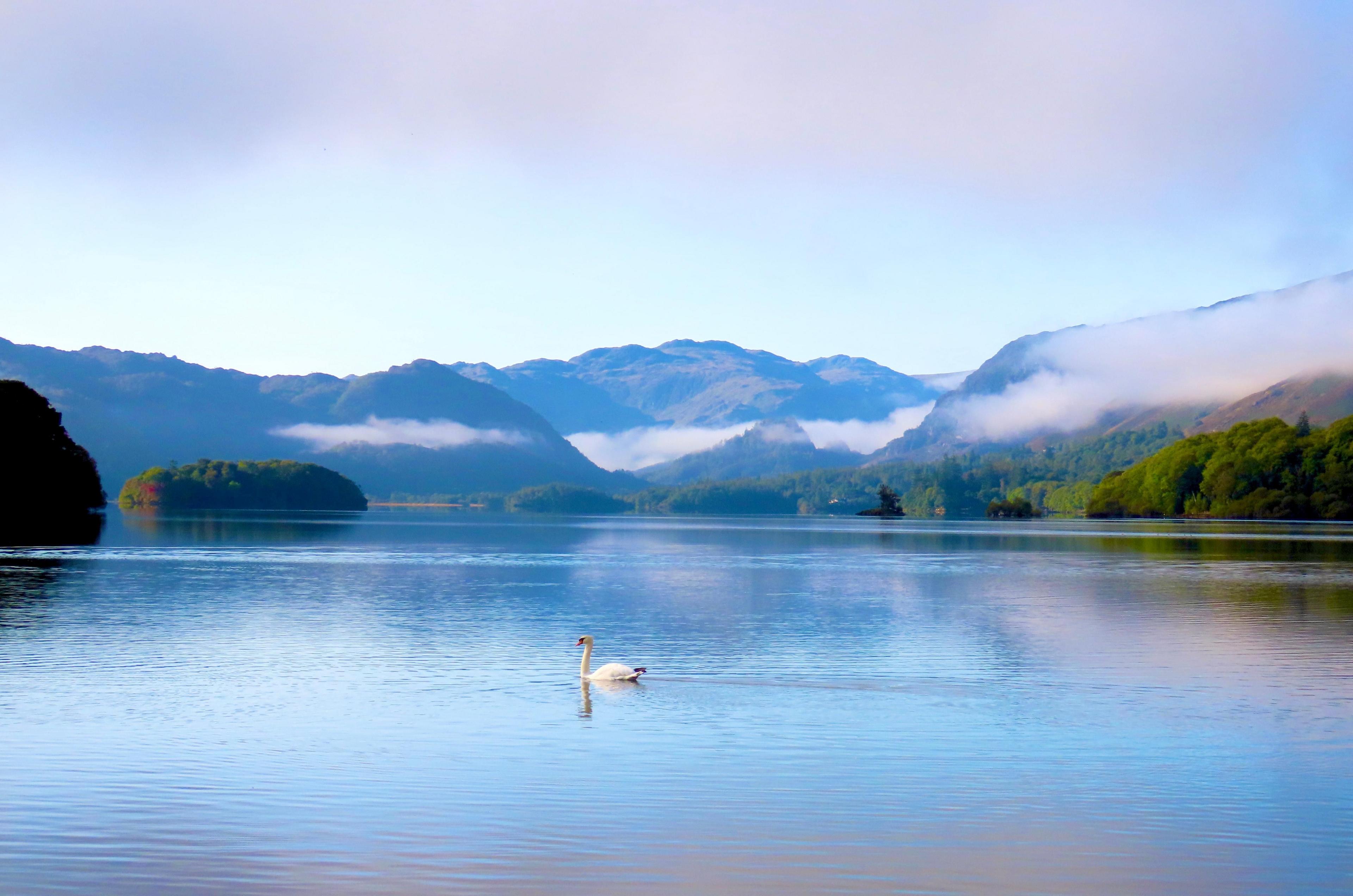 A lone swan sits on a still blue lake with hills around it. The fog weaves in and out of the hills and the overall feel of the photo is calmness