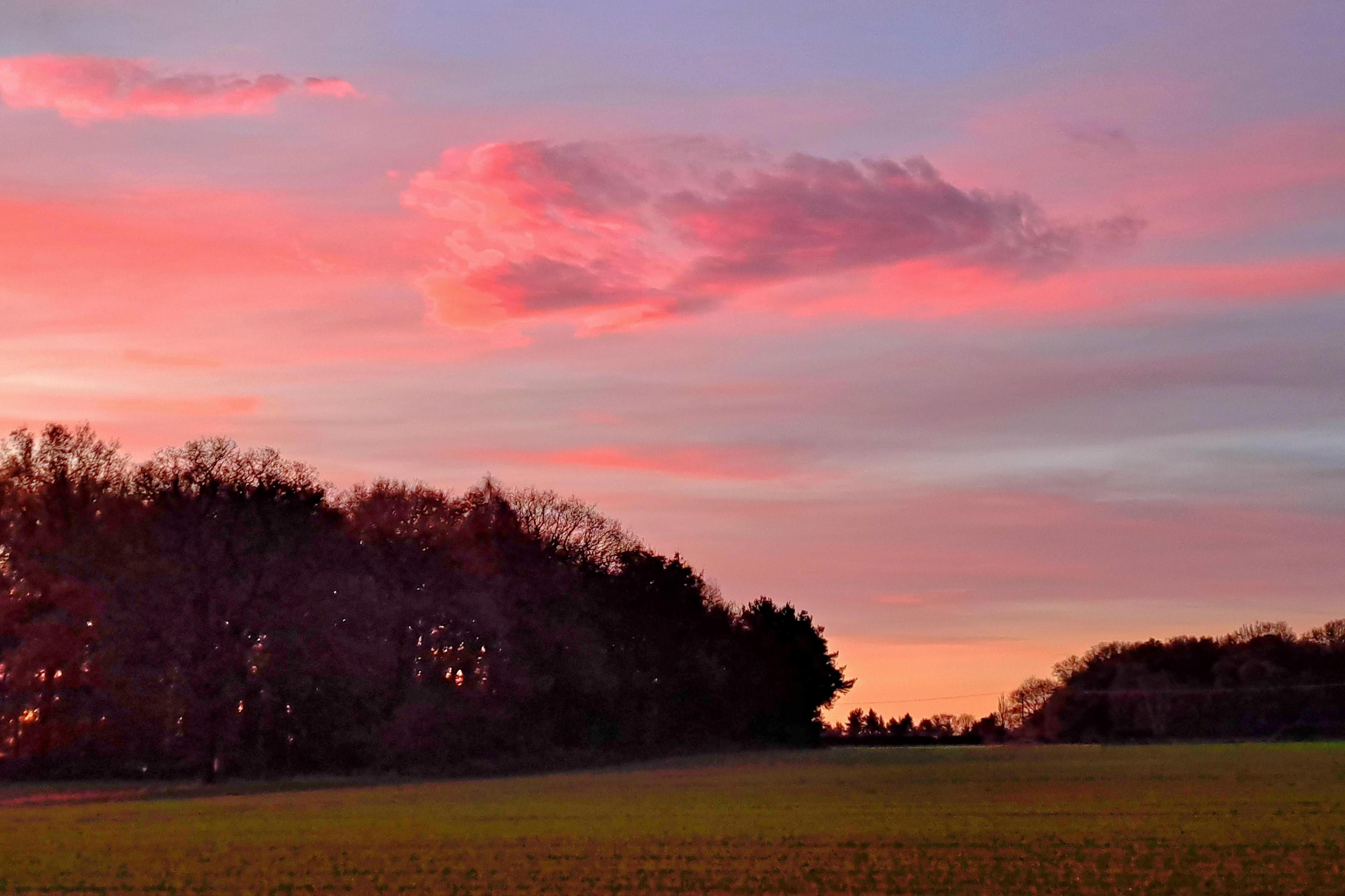 A pink, light blue and orange sky. Trees are near the bottom left of the photo next to a large area of grass next to it along the bottom of the image.