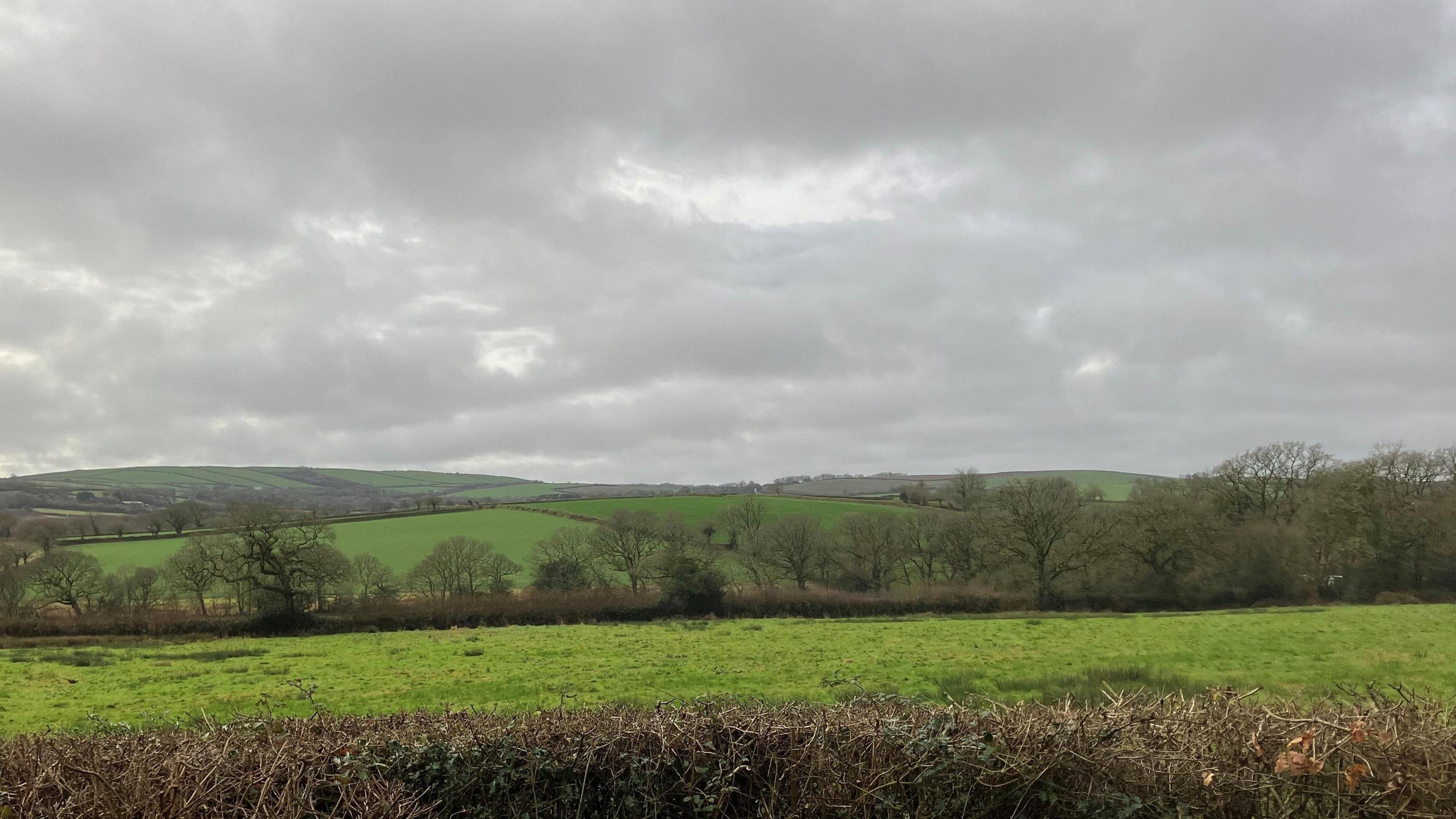 Green fields and hedgerows 