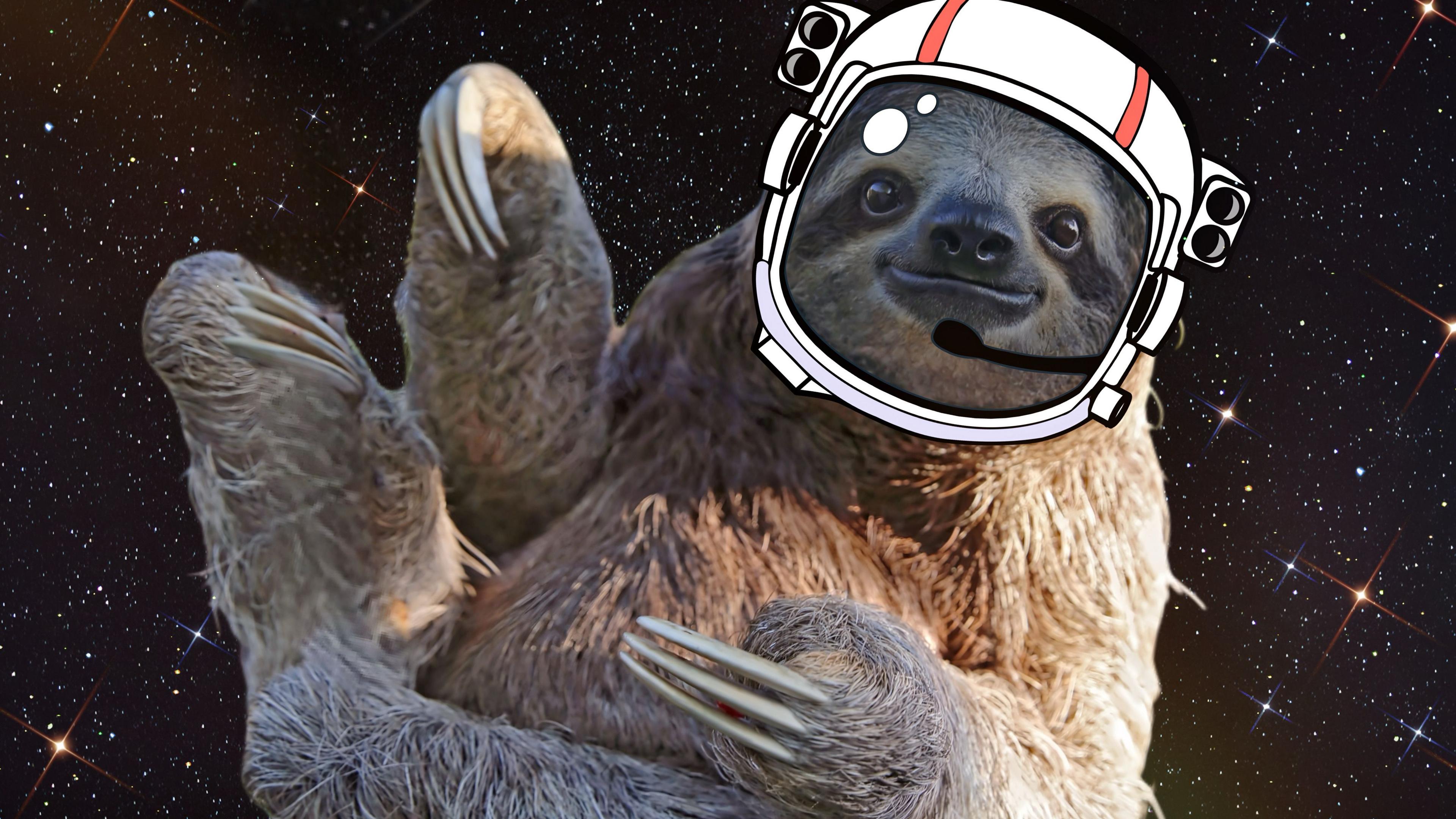 A sloth in space wearing an astronaut helmet.