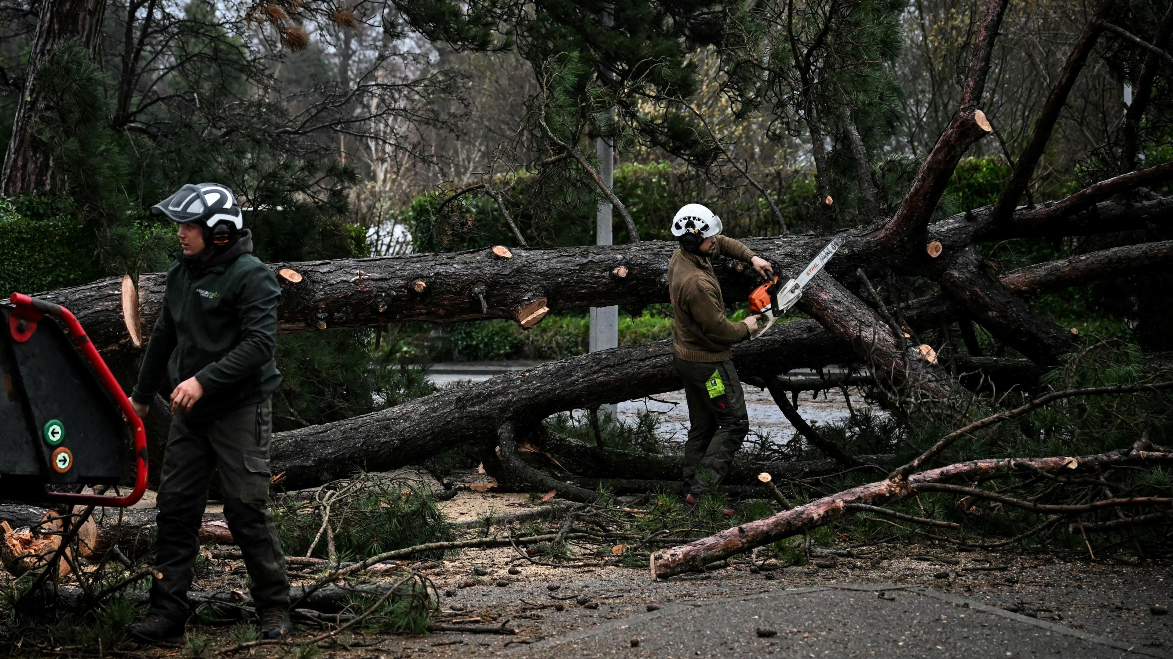 Clirio Storm Darragh