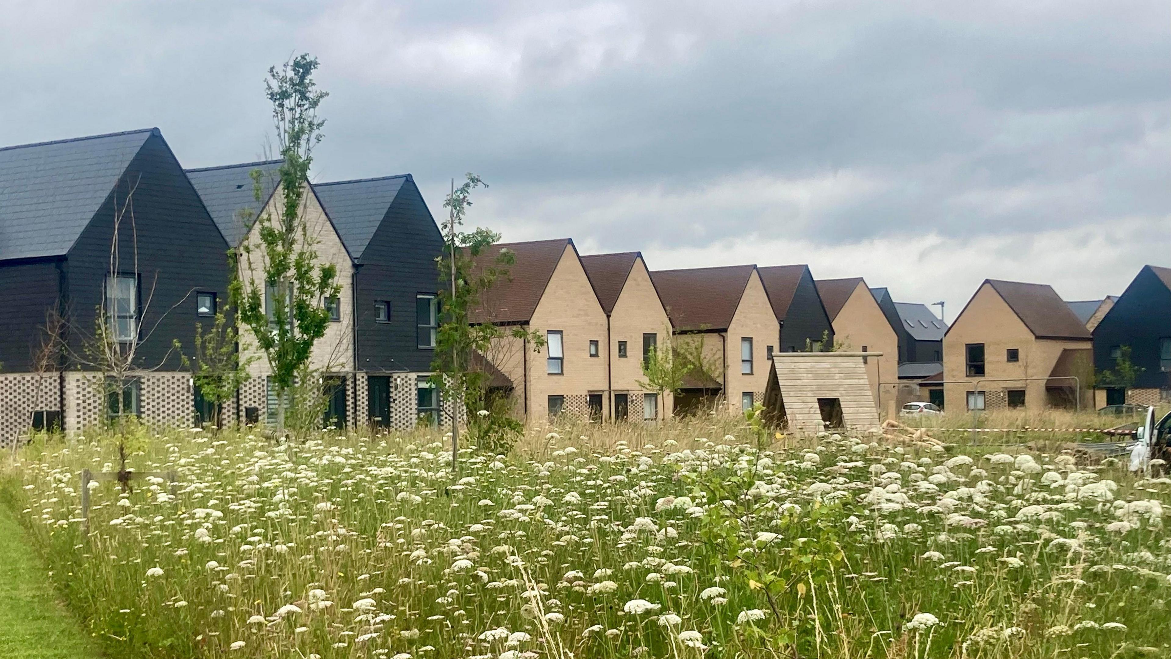 A line of small new build houses with pointed roofs behind a meadow filled with cow parsley.