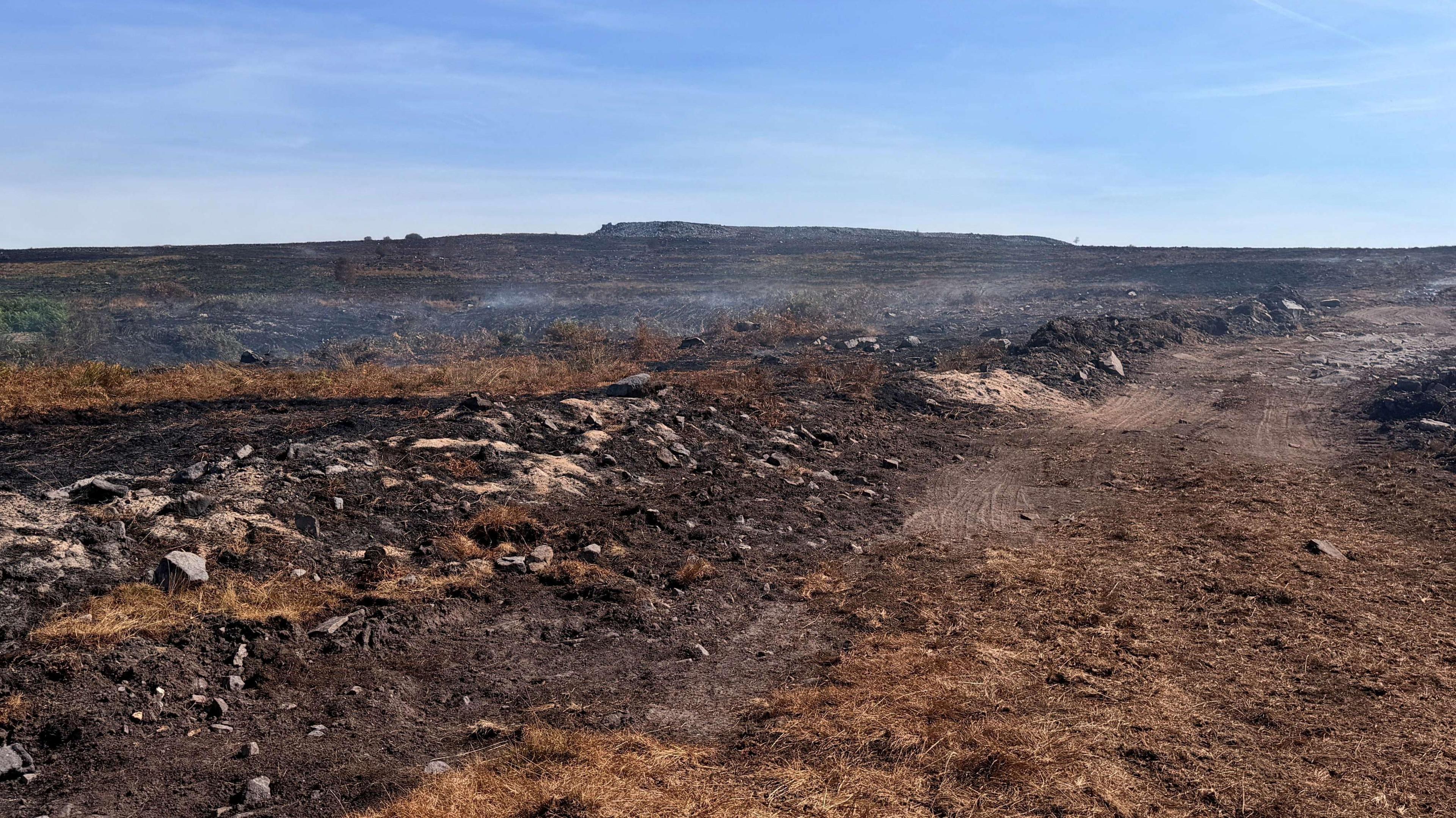 A burnt field after wildfire spread throughout the common. The ground is brown, with yellow grass and mud. The sky is bright blue.  