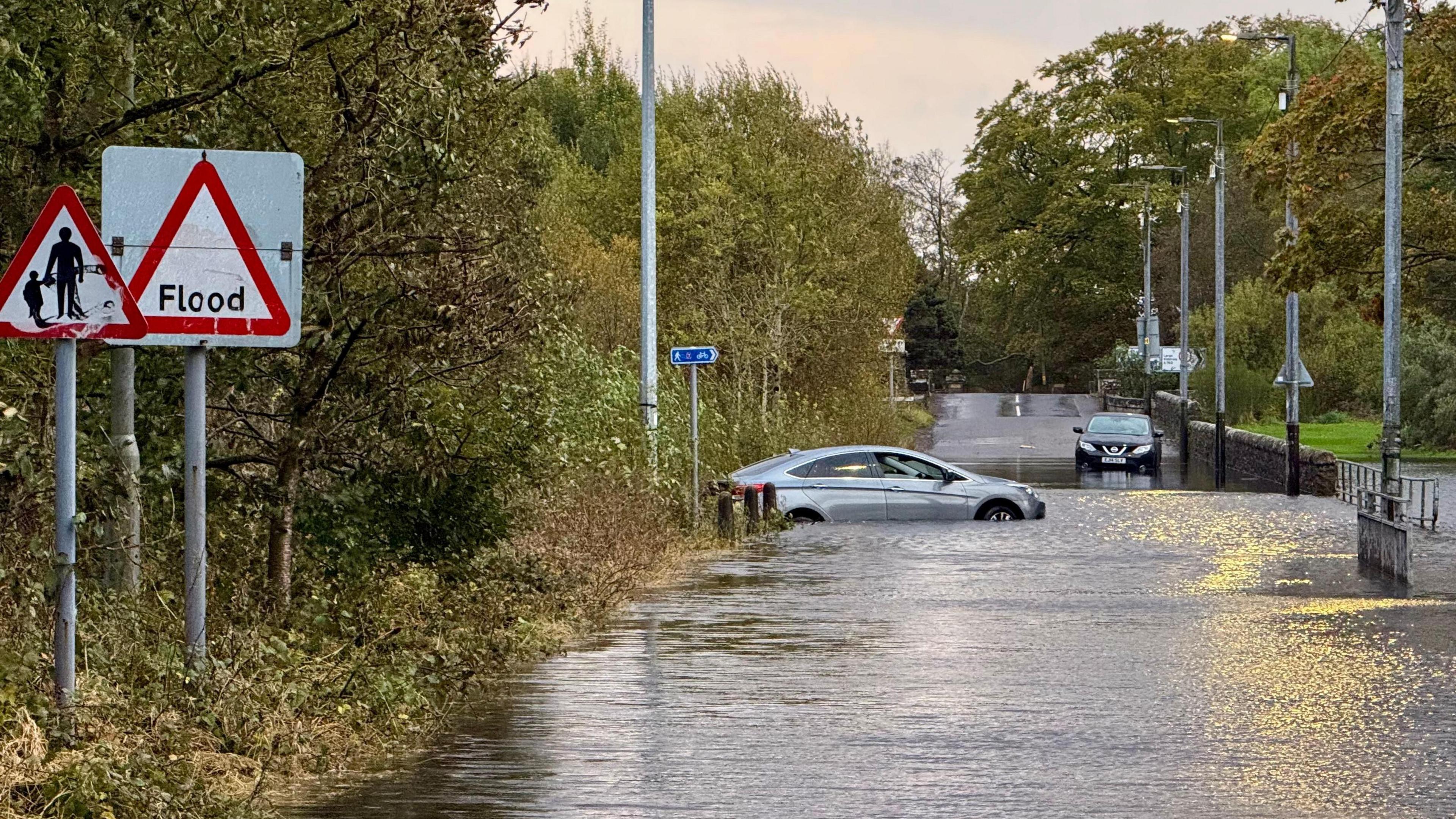 Two cars stranded in floodwaters with trees lining a road 