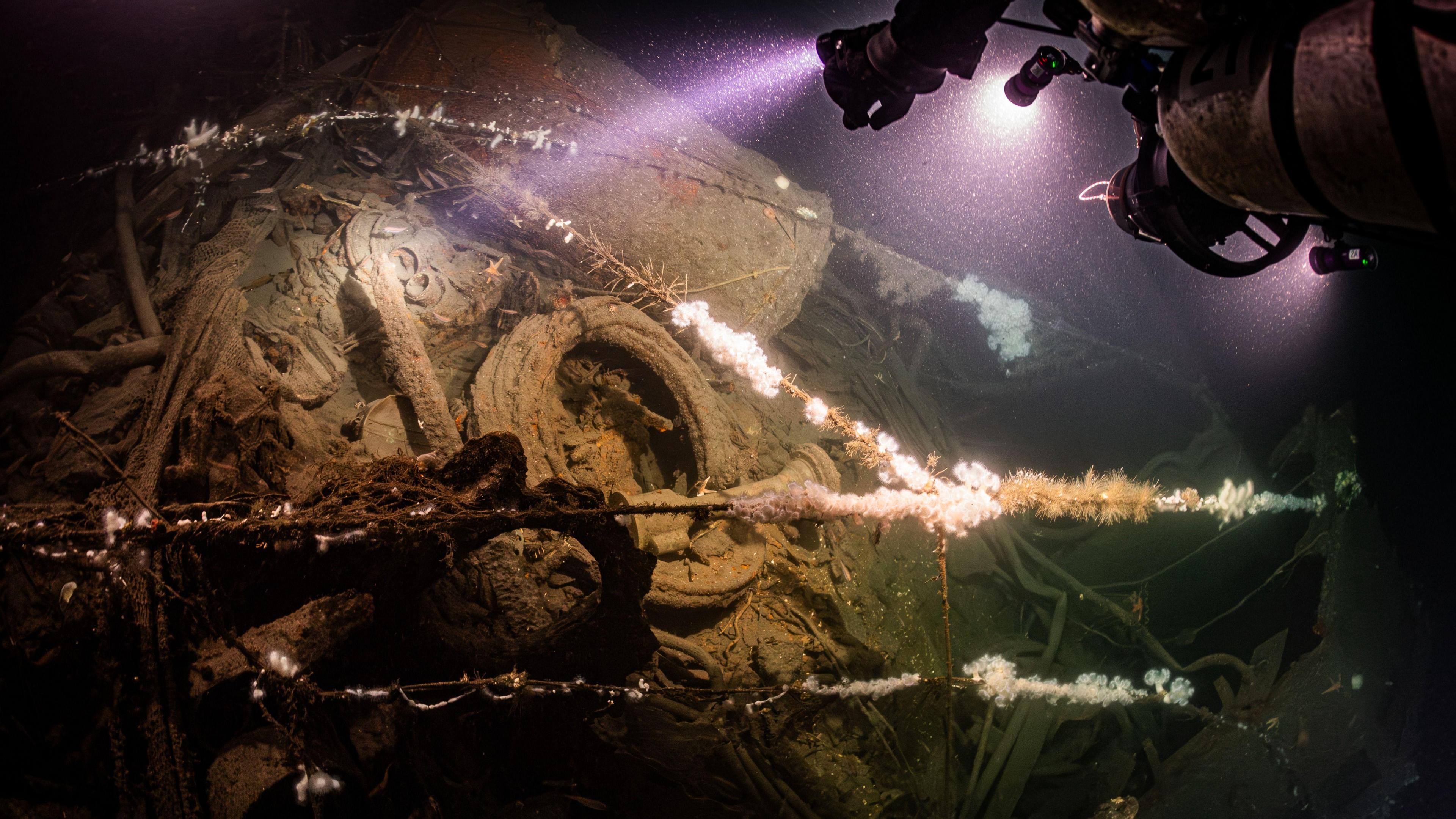 Divers shine a light at the wreckage of a royal navy warship, revealing rigging and warped metal covered in moss.