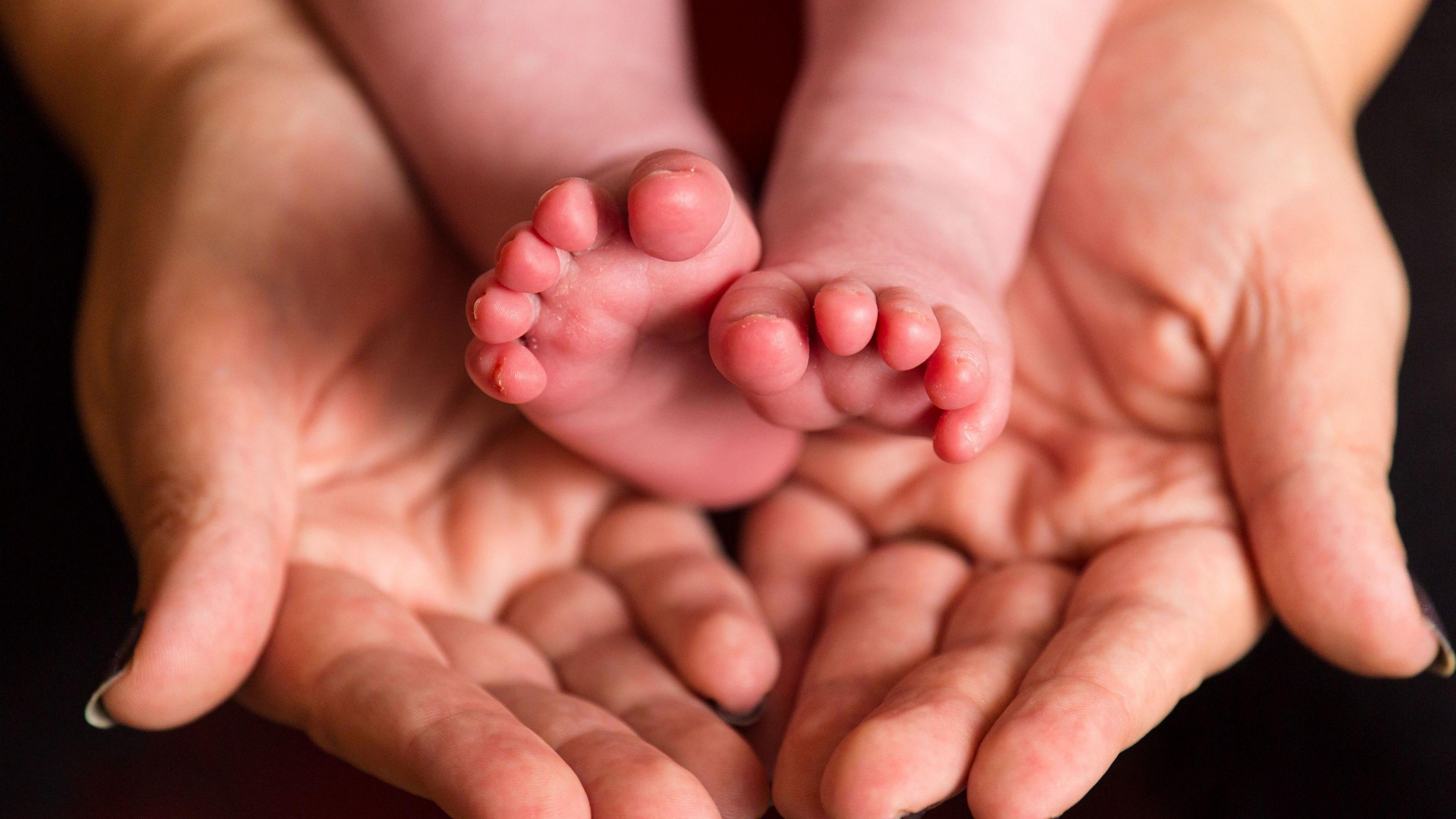 A pair of baby feet being held in the open palms of its mother. 