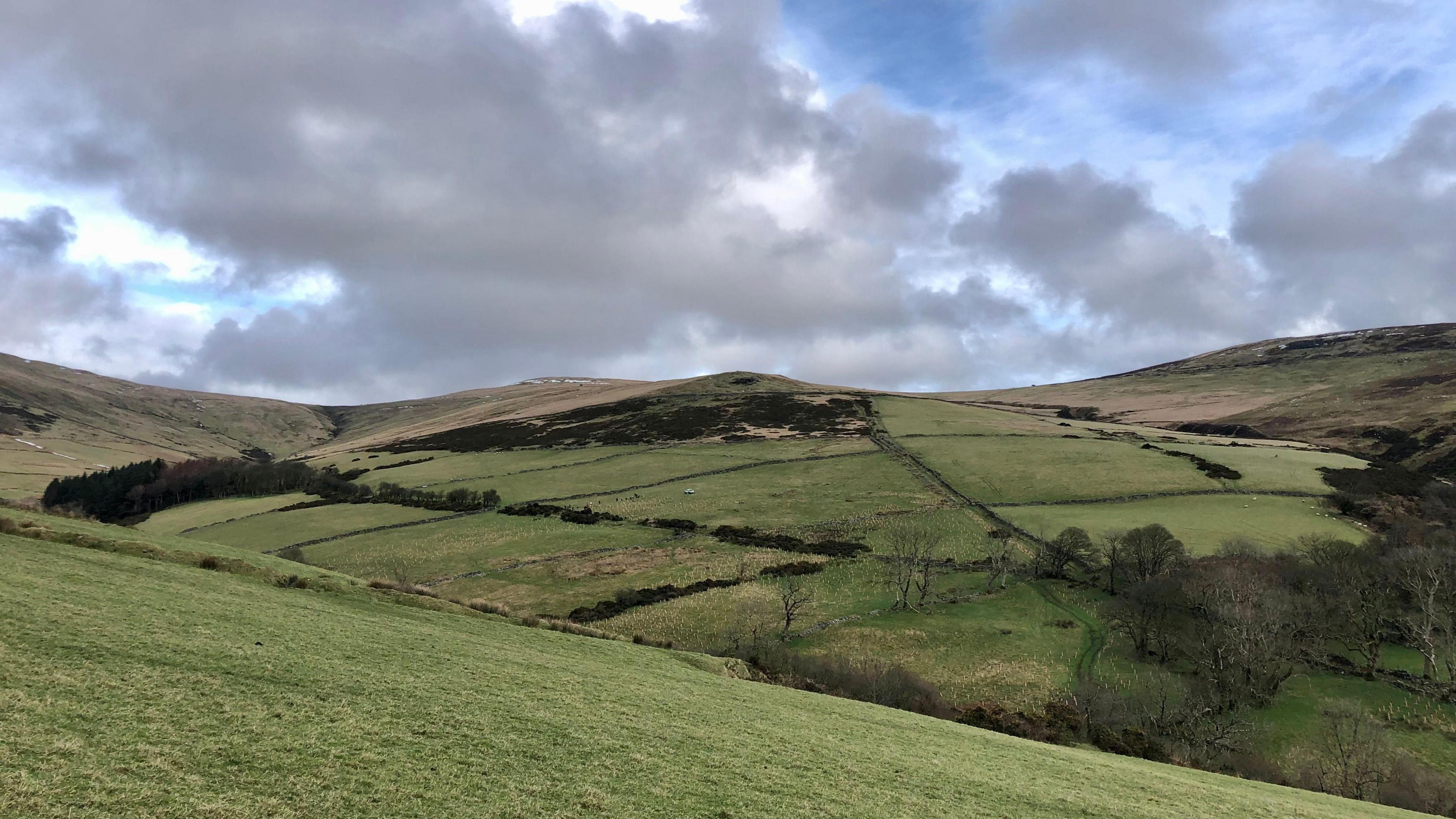 Creg y Cowin Farm, large agricultural fields on a hilly terrain, with pockets of trees already on the site