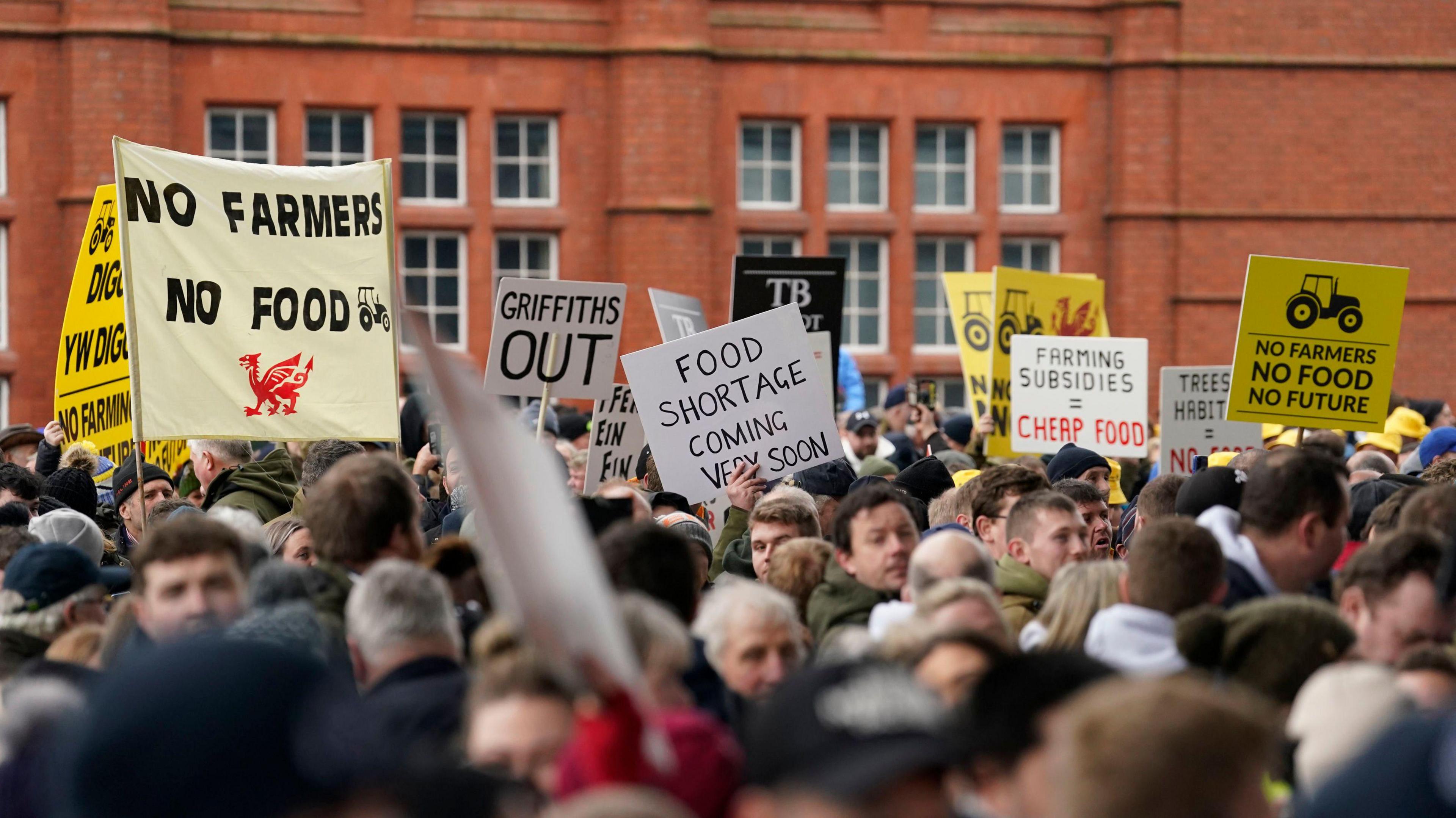 Ffermwyr yn protestio