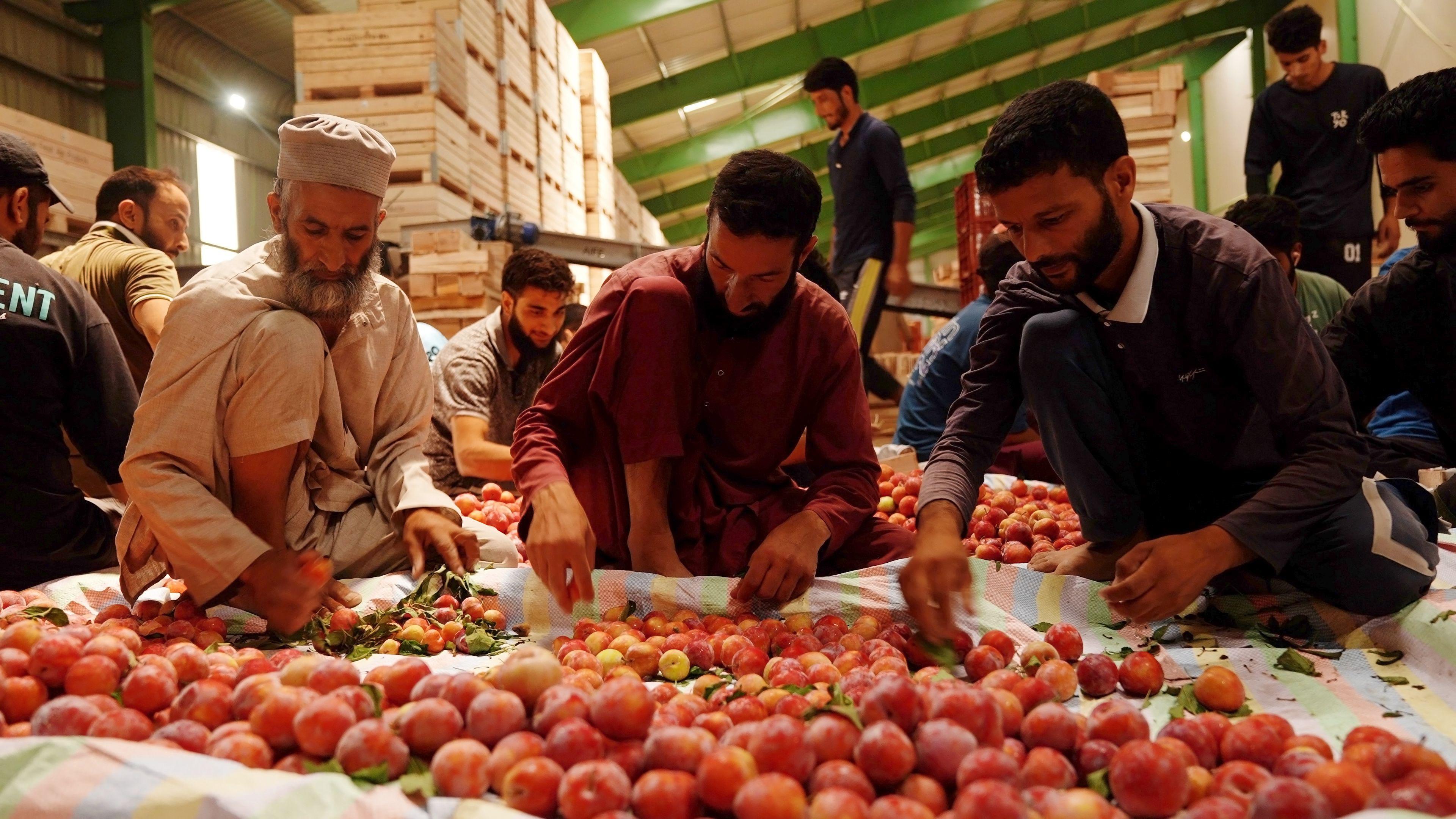 An apple warehouse in Indian-administered Kashmir