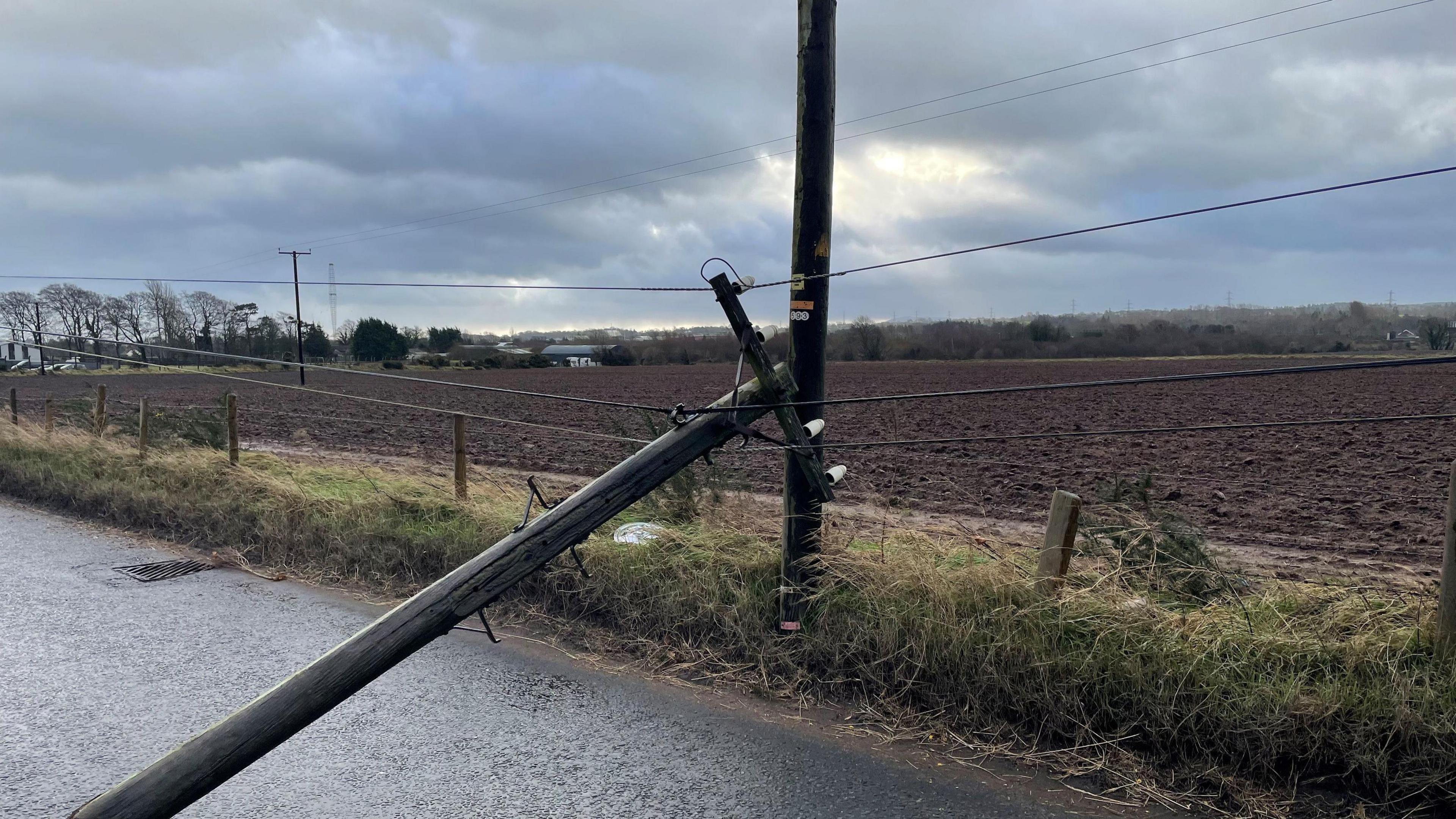 A broken telegraph pole in Co Antrim.