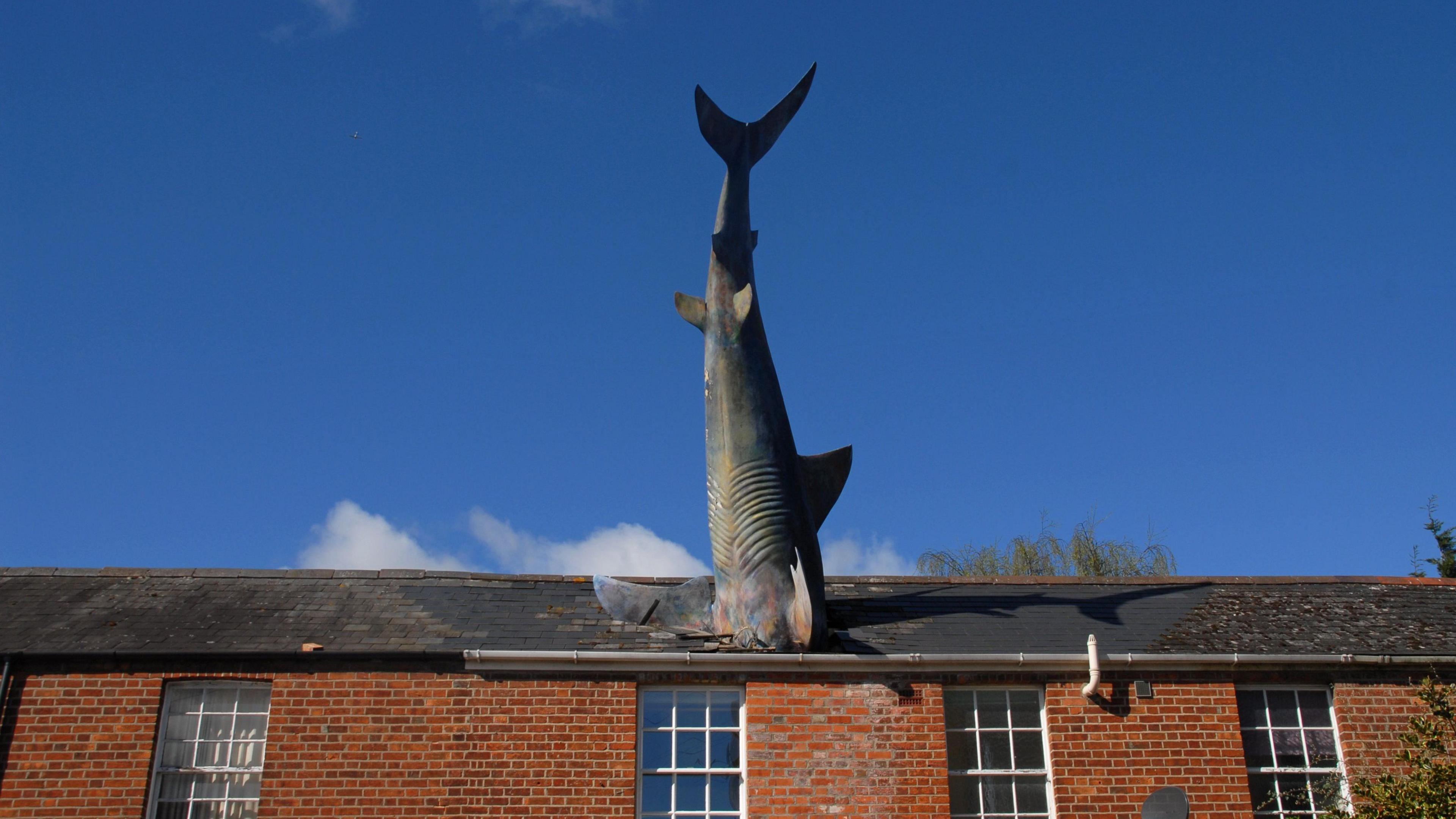 Untitled 1986, which is a headless shark as if it is falling into the house, in a row of terraced houses in Headington's New High Street