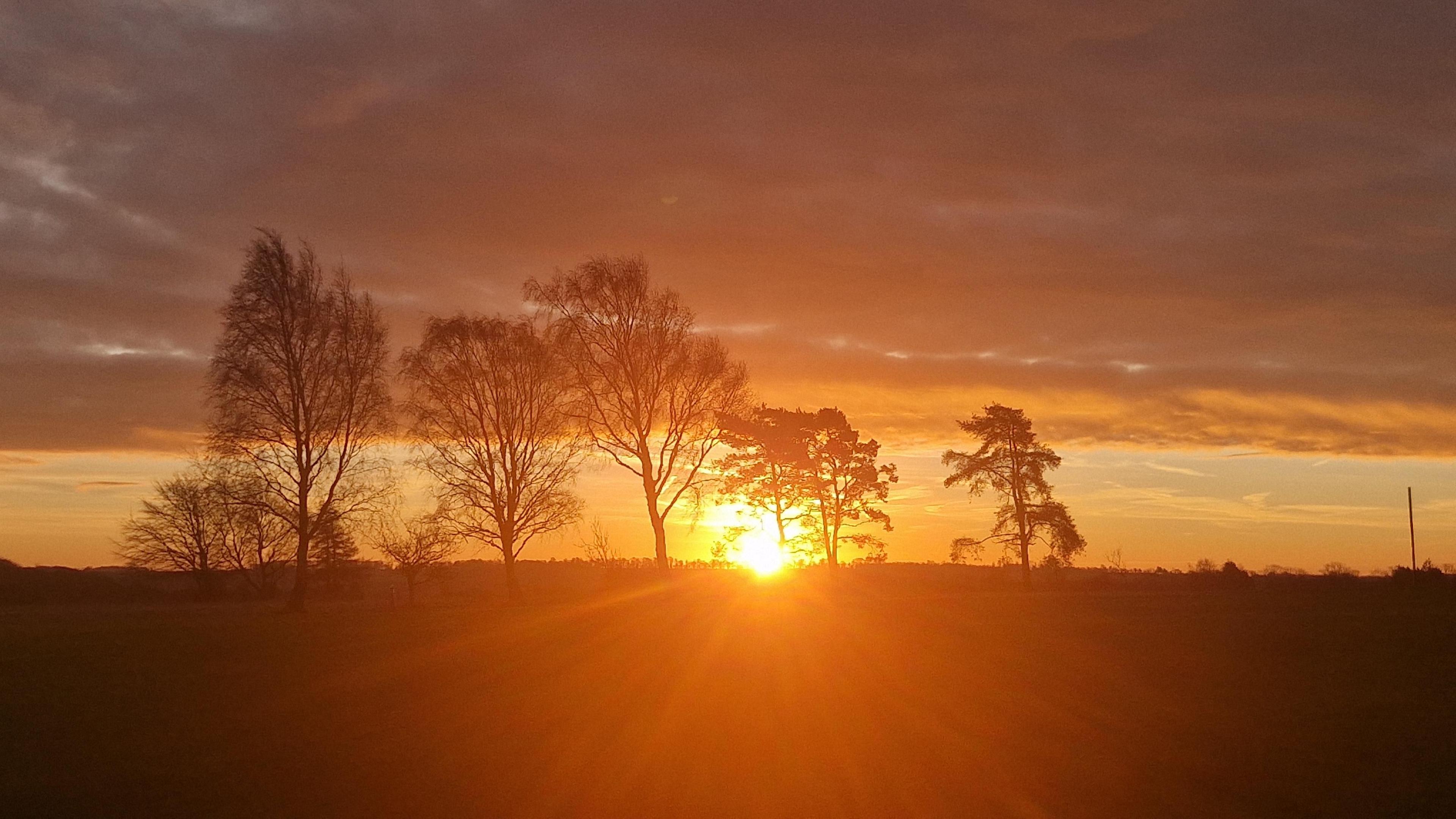 A sun rising through the trees near Cam in Gloucestershire with an orange sky causing a shadow like effect on the trees.