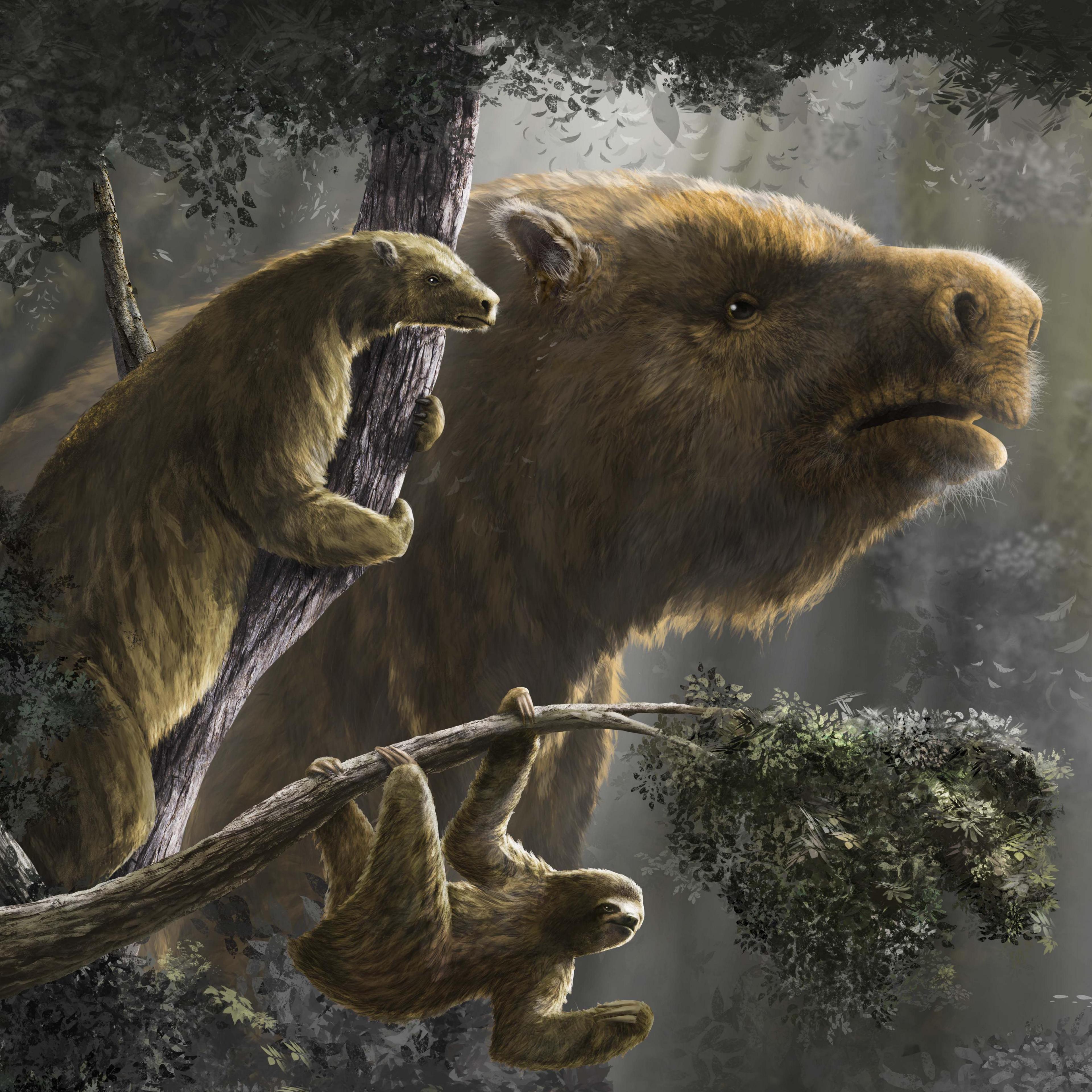 The picture shows a reconstruction of what sloths would have looked like in the past. At the bottom a small sloth hangs from a branch by three limbs. Behind, a giant ground-dwelling sloth peers out from the forest. To the left a medium-sized sloth is seen clinging to the branch of a tree.