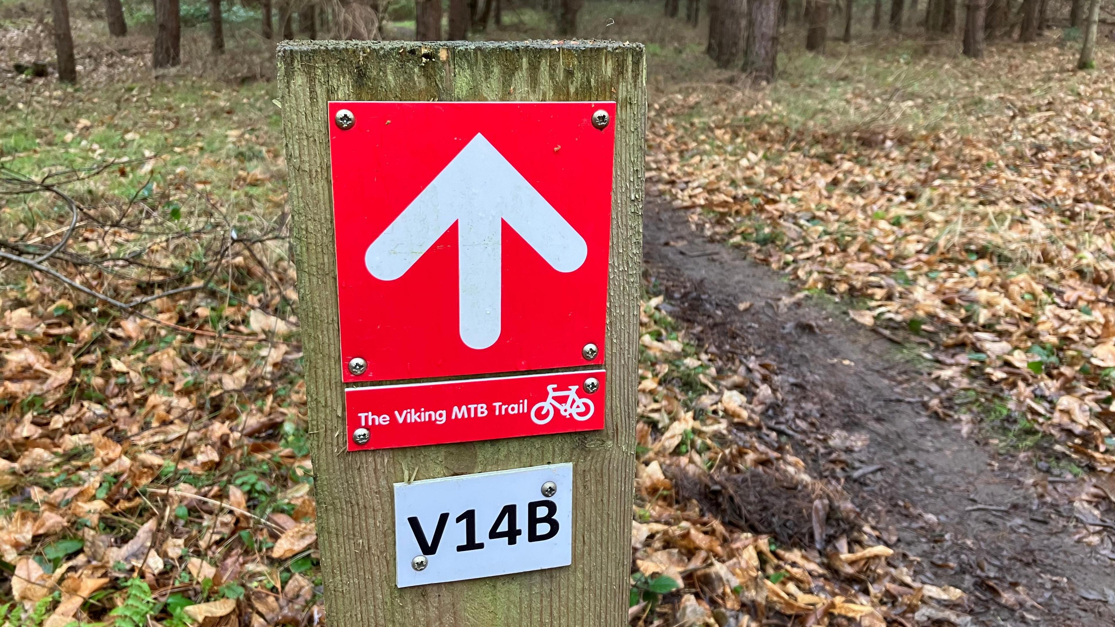 A wooden sign with a white arrow on a red background in a leafy woodland setting