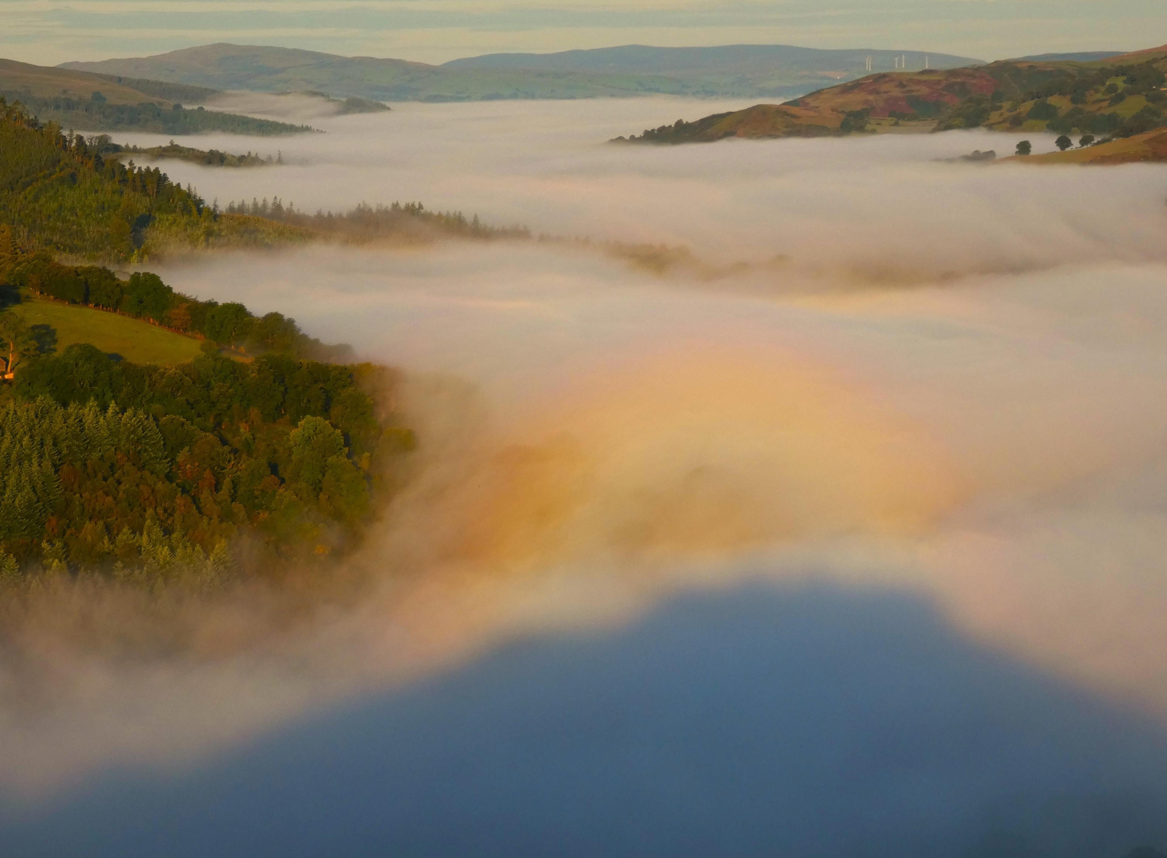 A large tree-lined and fog-filled valley with a shadow and half-halo in the foreground.