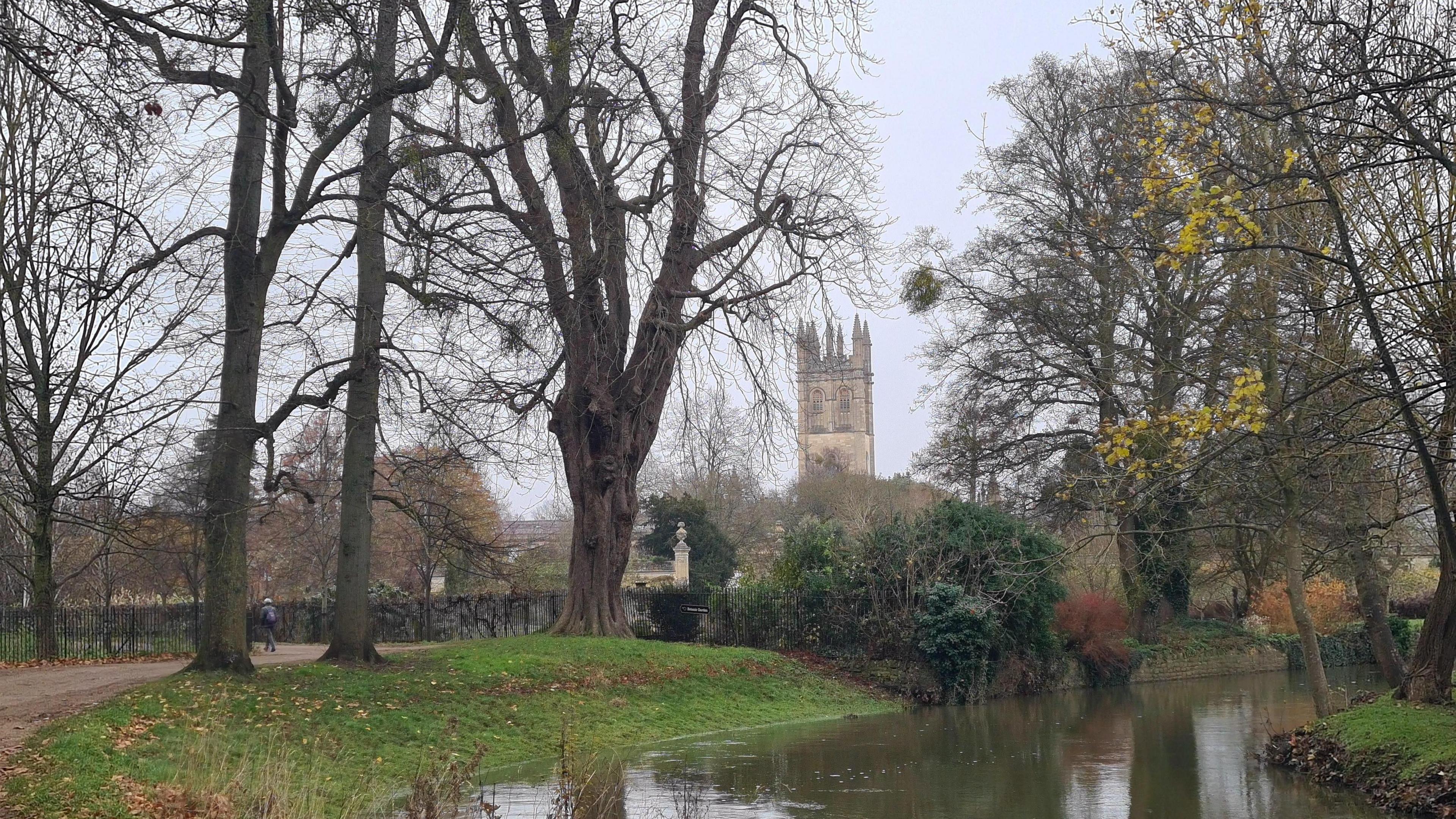 A misty day on a path next to a river. There are trees lining the path with bare branches. The banks of the river have green grass. In the distance you can see a stone tower. The sky is grey.