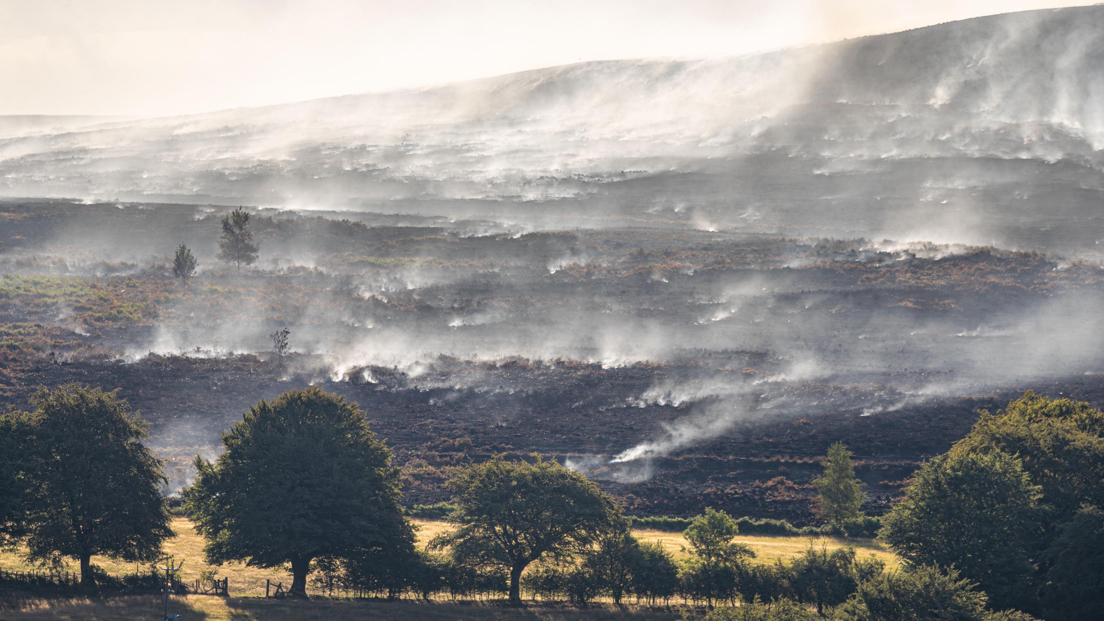 Smoke from a wildfire is blowing across a blackened mountainside with a few trees in the foreground which haven't been burnt.