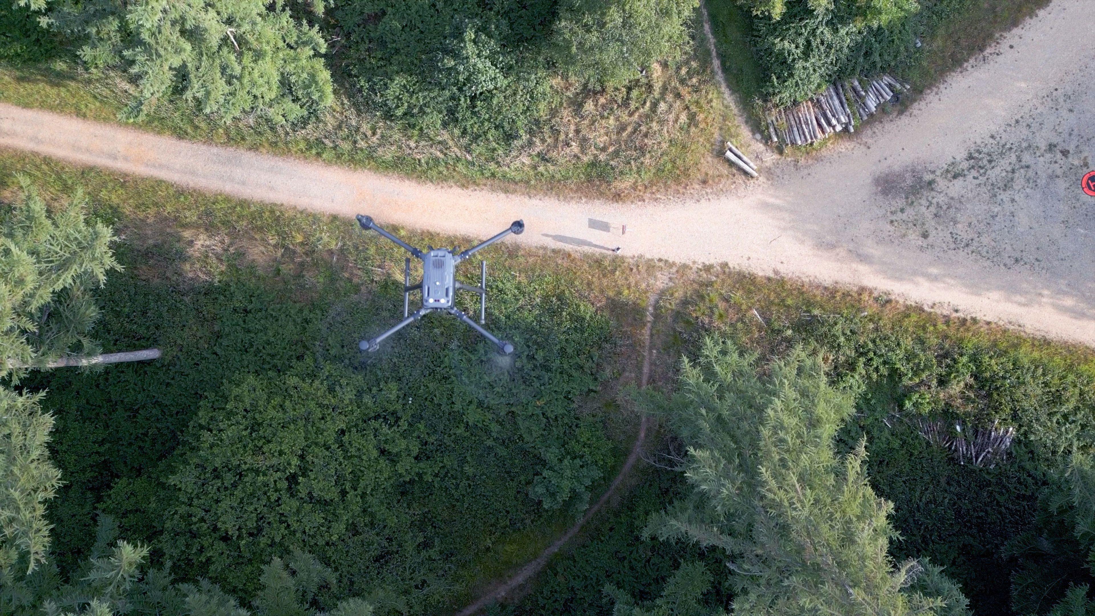 A grey drone with four outstretched arms in a diamond formation hovers over a spruce forest. A walking path cuts through the centre of the forest, and splits to the right, at the corner of the junction sit some logs.