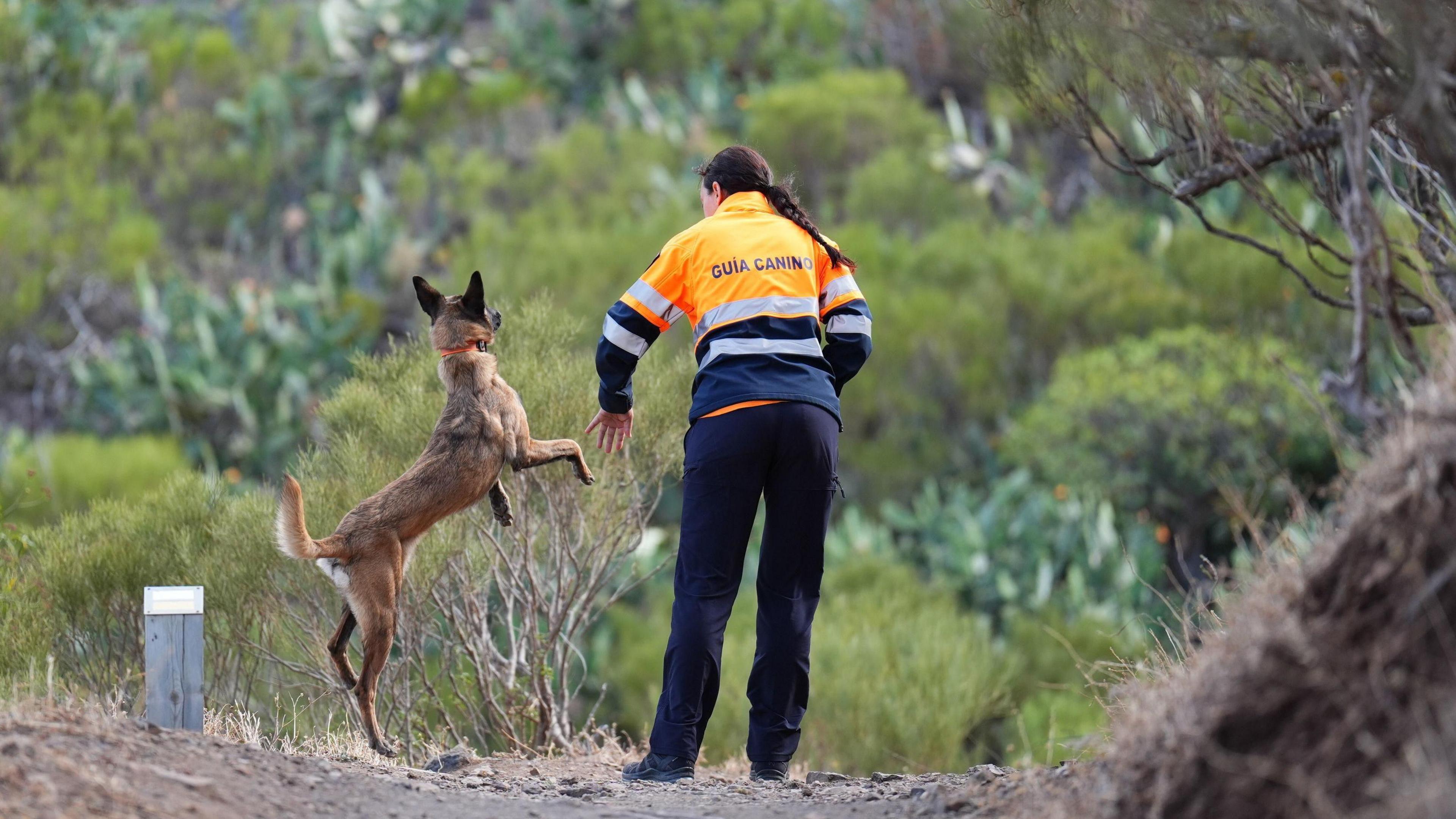 A search team member with her search dog near to the village of Masca, Tenerife