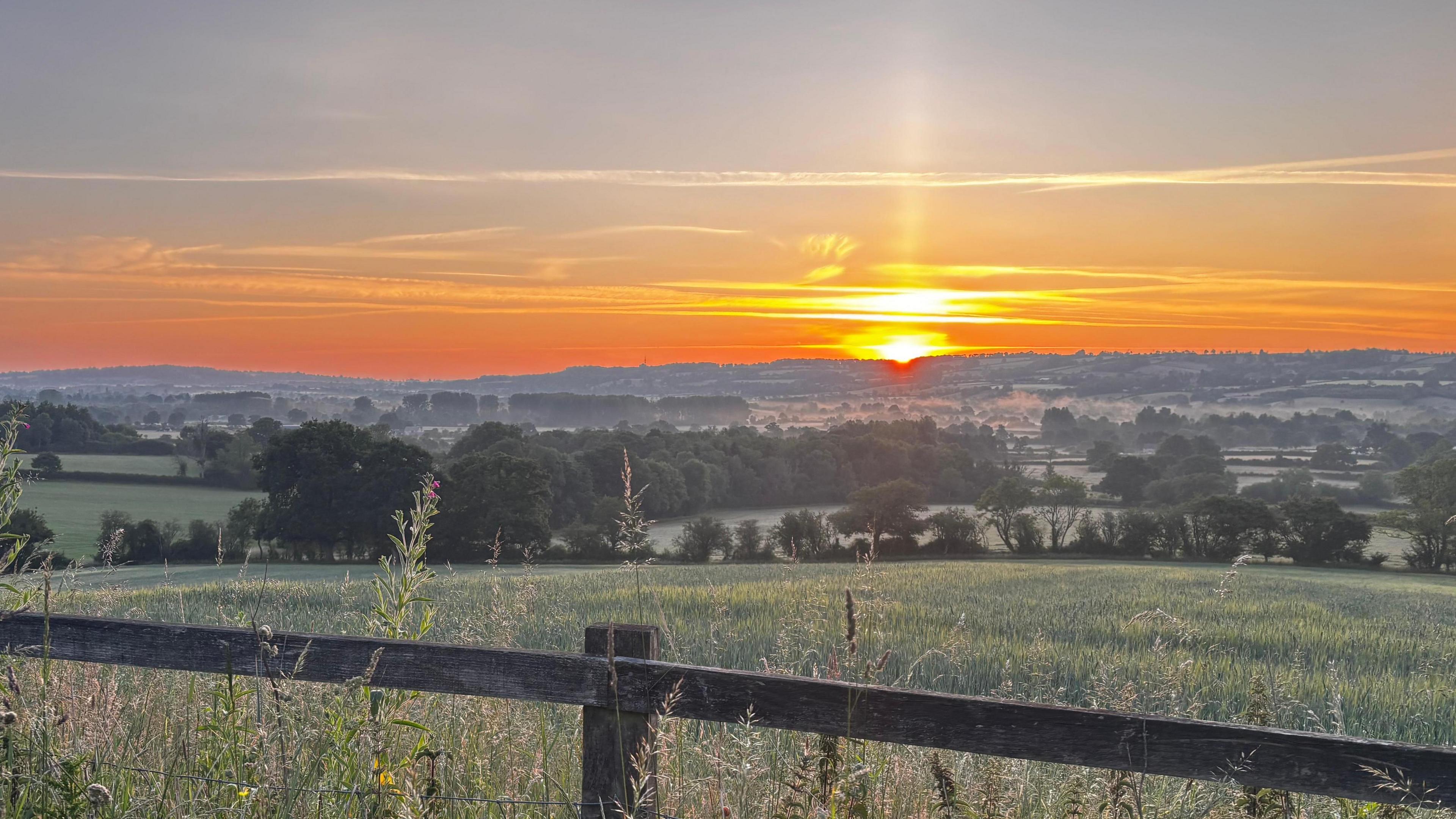 A wooden fence with a green field in front of it and an orange sun rising in the background.