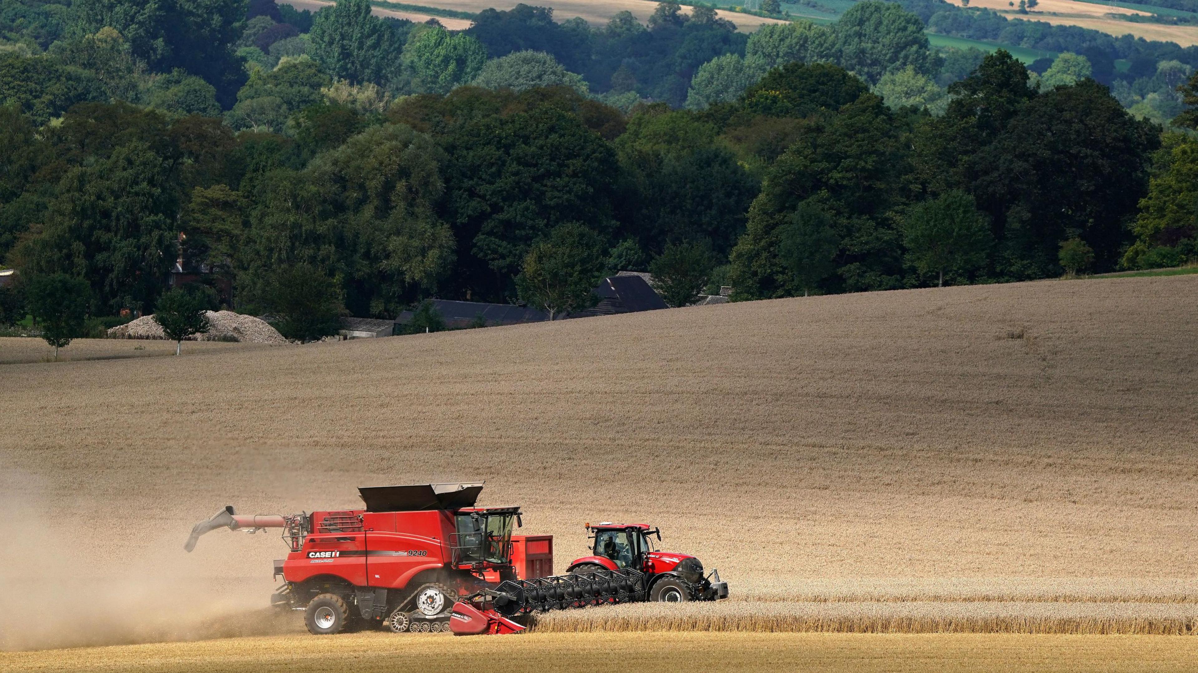 A combine harvester takes in the wheat in a large field with rolling hills in the background on a sunny day.